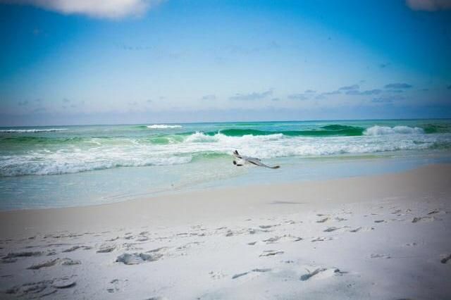 Summerspell 303 Condo rental in Summerspell Condos in Destin Florida in Destin Florida - #6