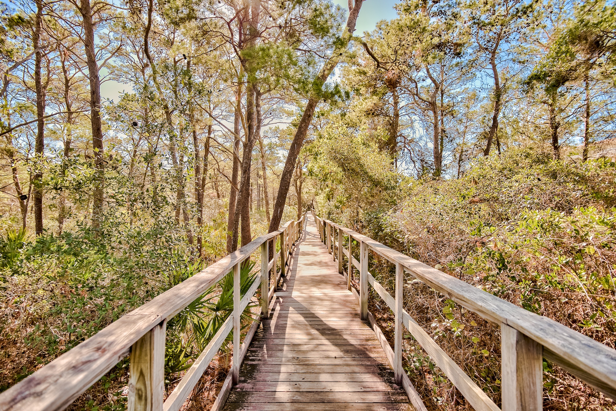 Birdie-A House / Cottage rental in 30a Beach House Rentals in Highway 30-A Florida - #58