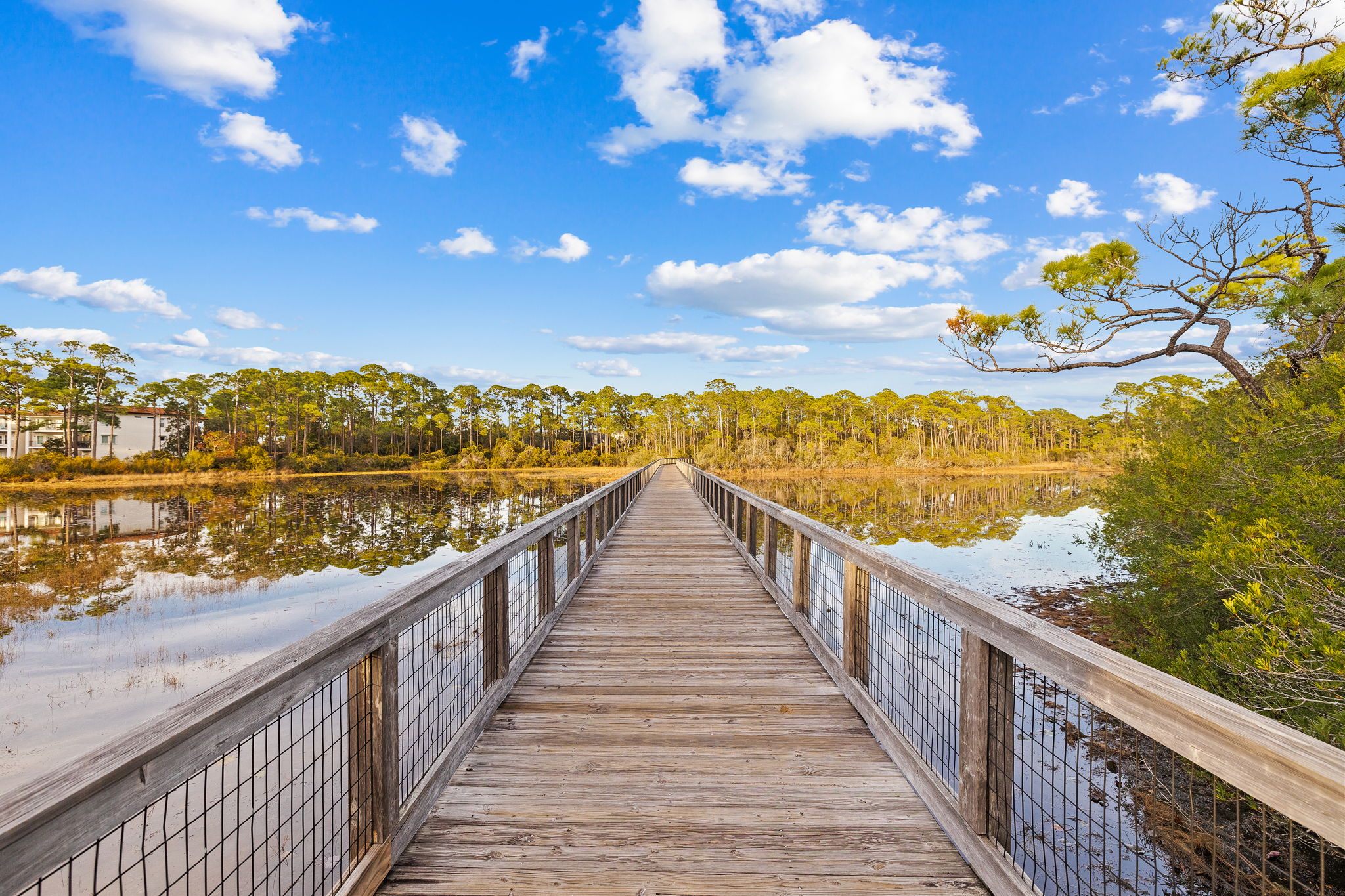 Blue Moon House / Cottage rental in 30a Beach House Rentals in Highway 30-A Florida - #64