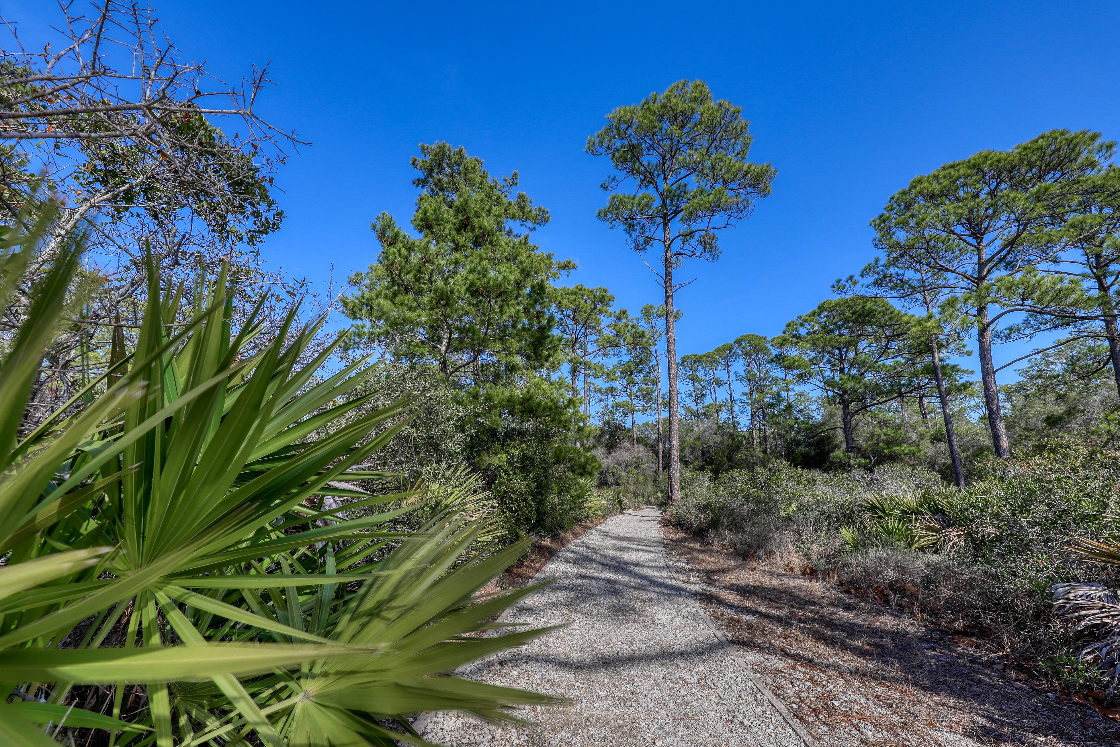 Sandy Feat House / Cottage rental in 30a Beach House Rentals in Highway 30-A Florida - #23