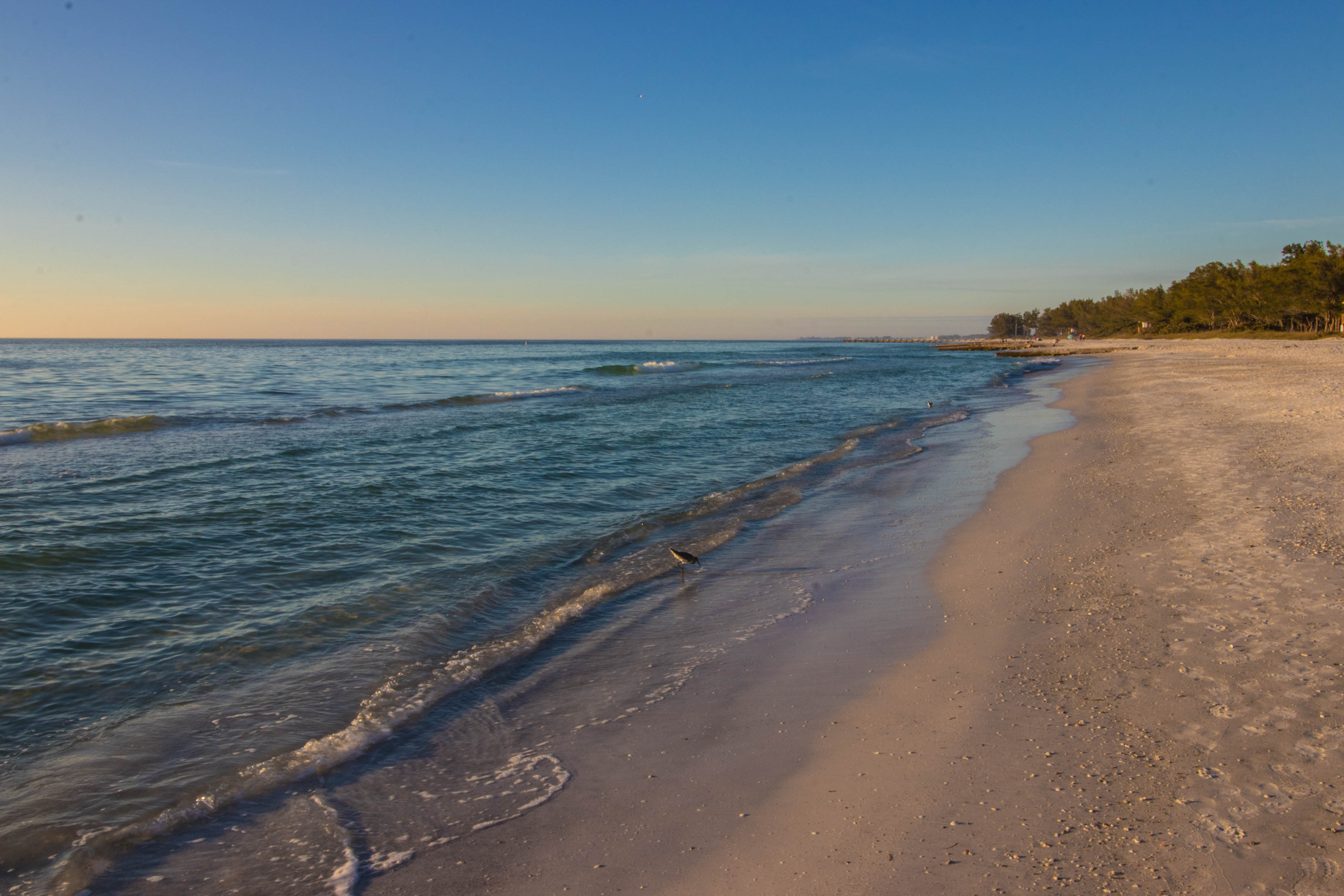 Beachcomber House / Cottage rental in Anna Maria Island Houses in Anna Maria Island Florida - #31