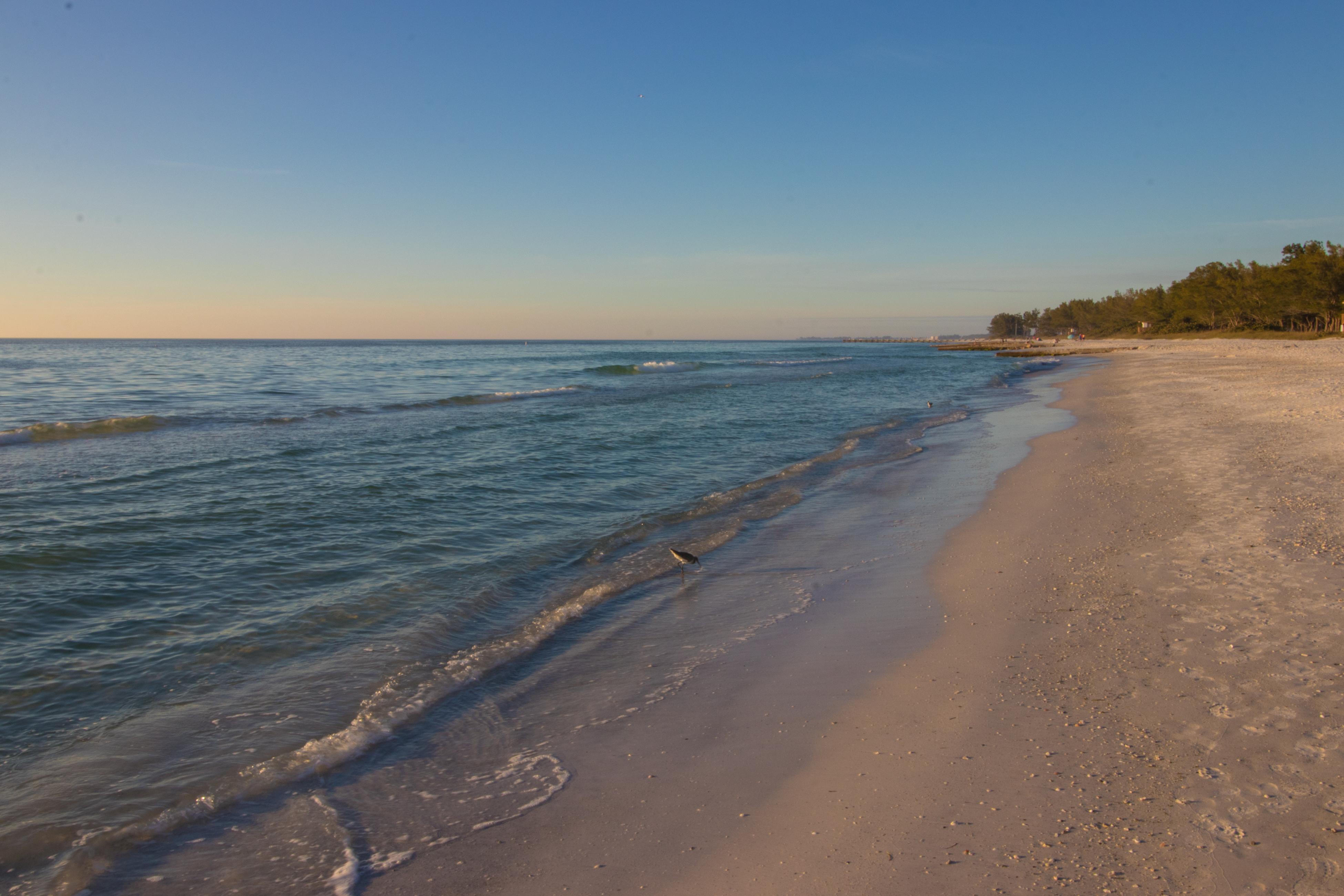 Blue Wave Villa West House / Cottage rental in Anna Maria Island Houses in Anna Maria Island Florida - #41