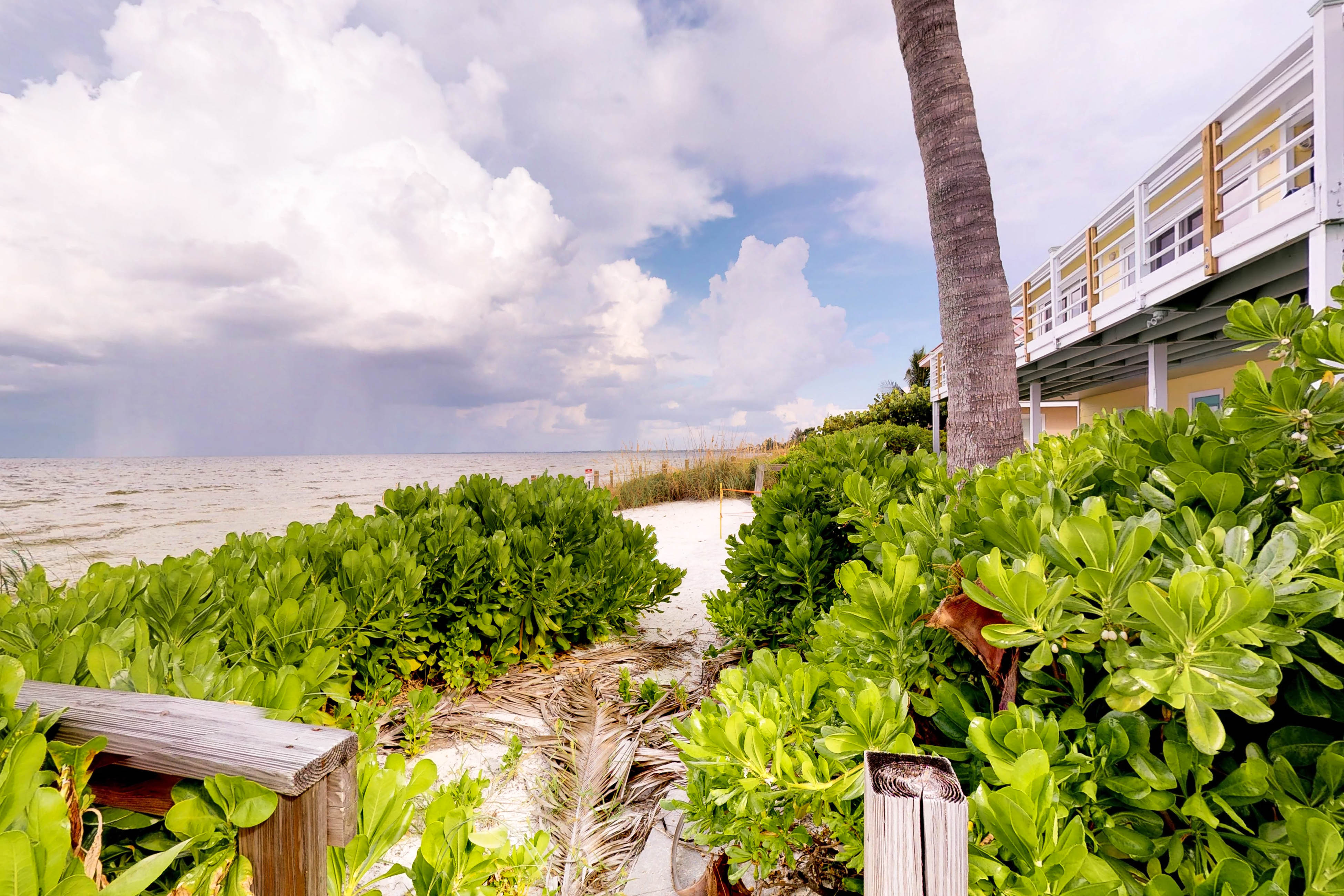 Grant's View House / Cottage rental in Anna Maria Island Houses in Anna Maria Island Florida - #28