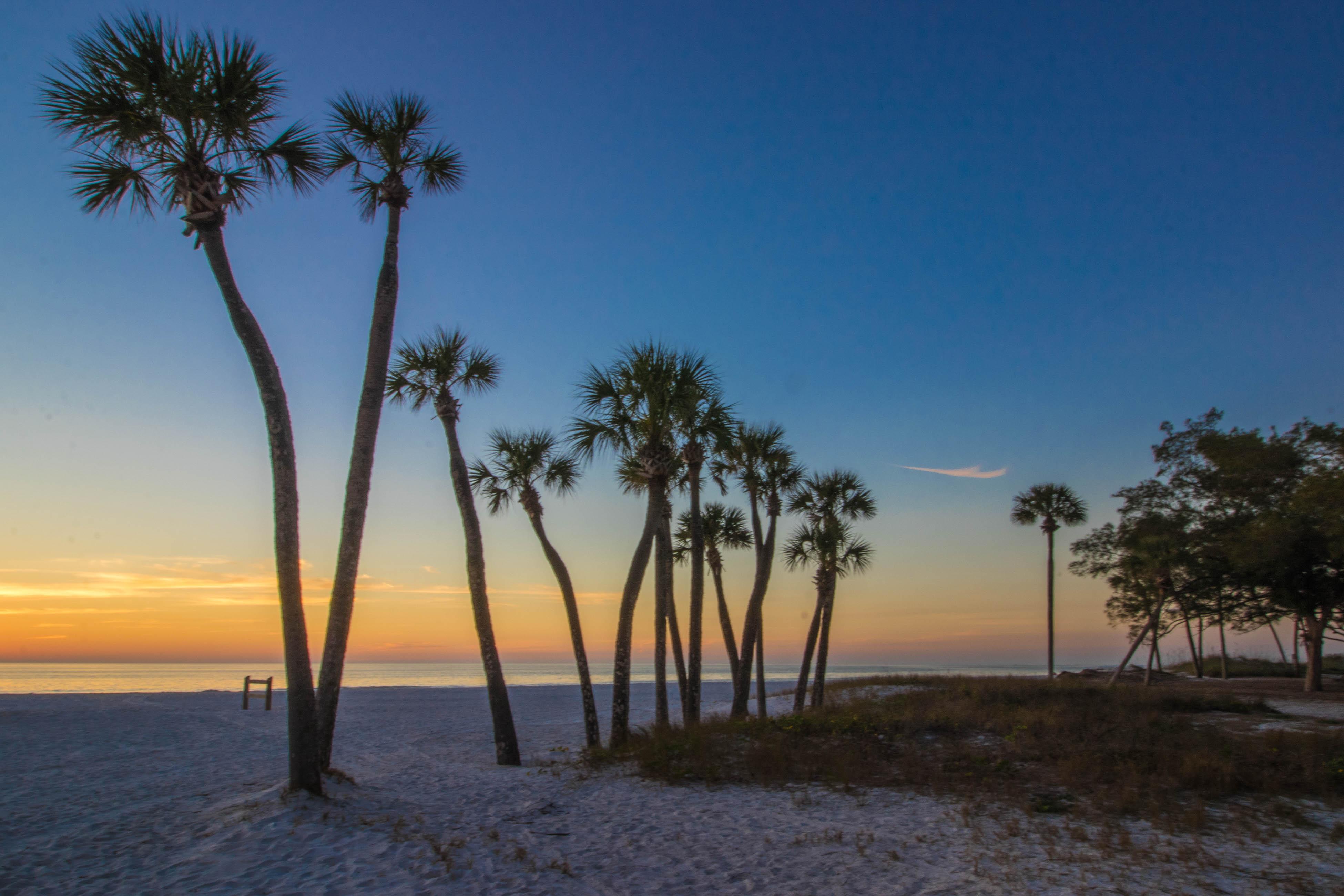 Mangrove Cottage House / Cottage rental in Anna Maria Island Houses in Anna Maria Island Florida - #33