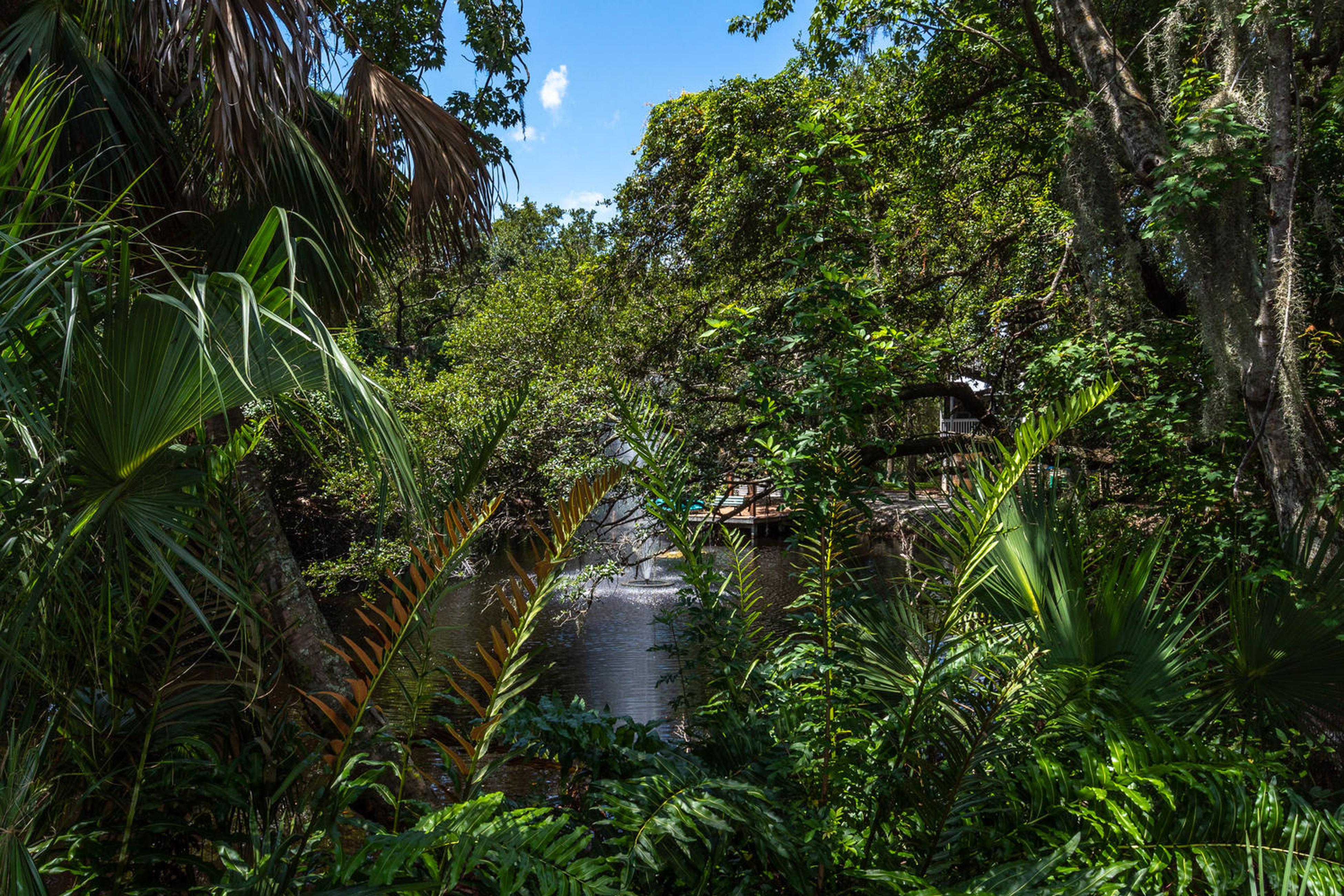 Palma Sola Paradise House / Cottage rental in Anna Maria Island Houses in Anna Maria Island Florida - #42