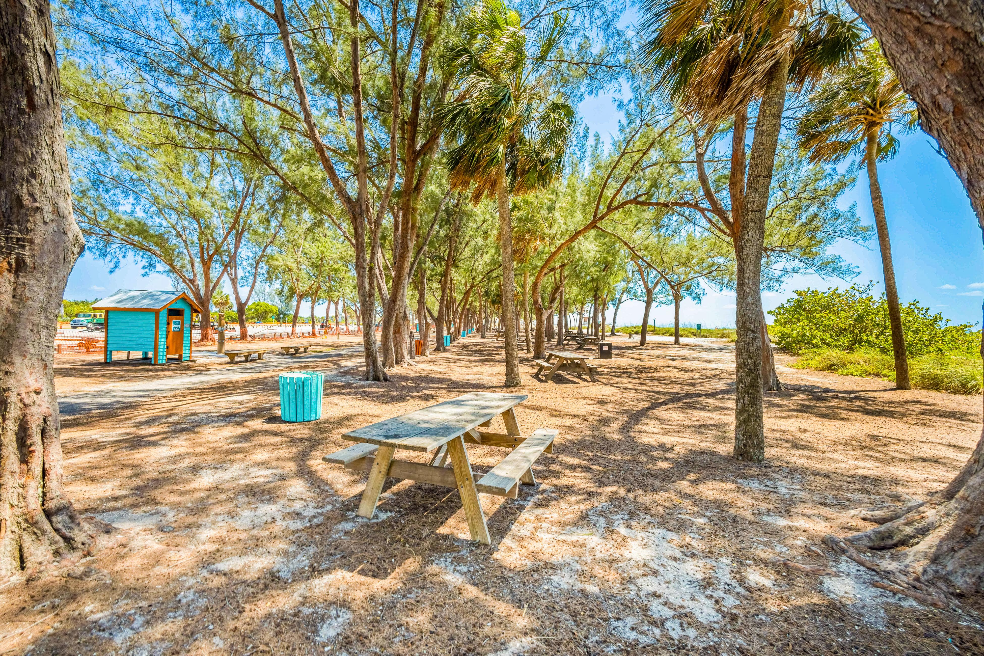 Peacock A House / Cottage rental in Anna Maria Island Houses in Anna Maria Island Florida - #41