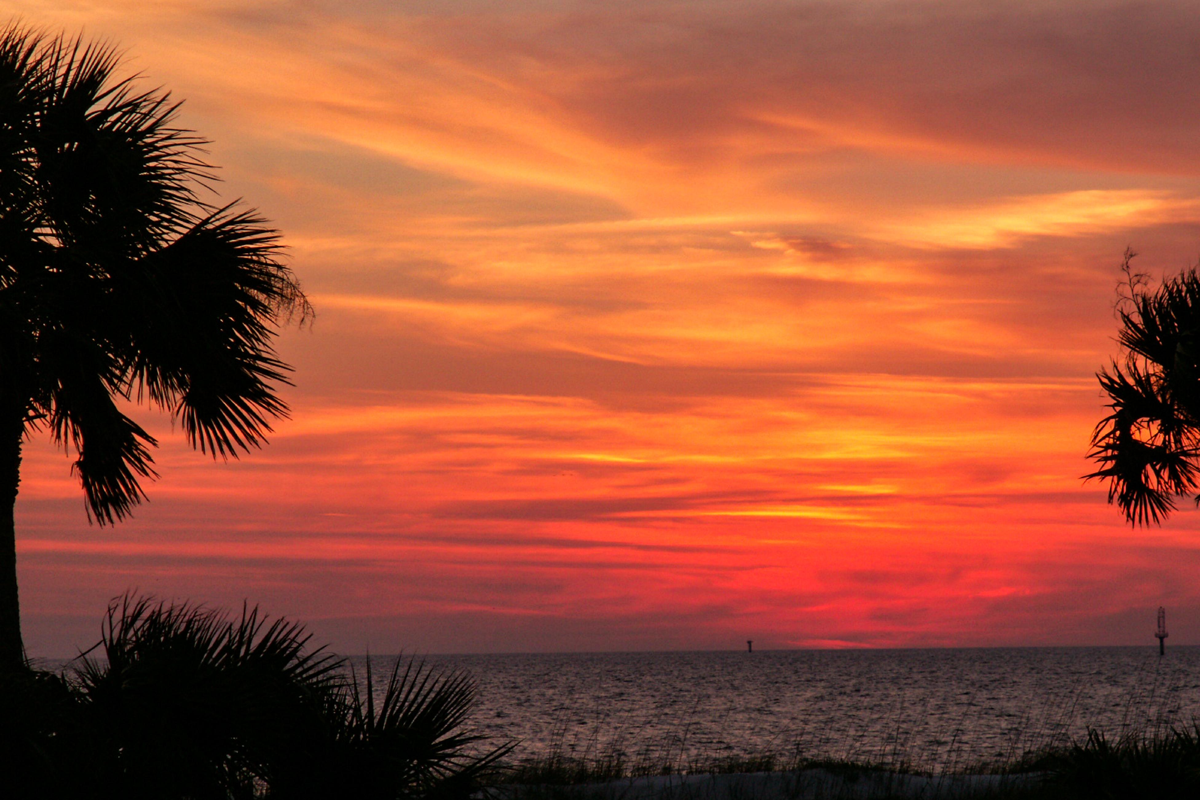 Pelican House House / Cottage rental in Anna Maria Island Houses in Anna Maria Island Florida - #19