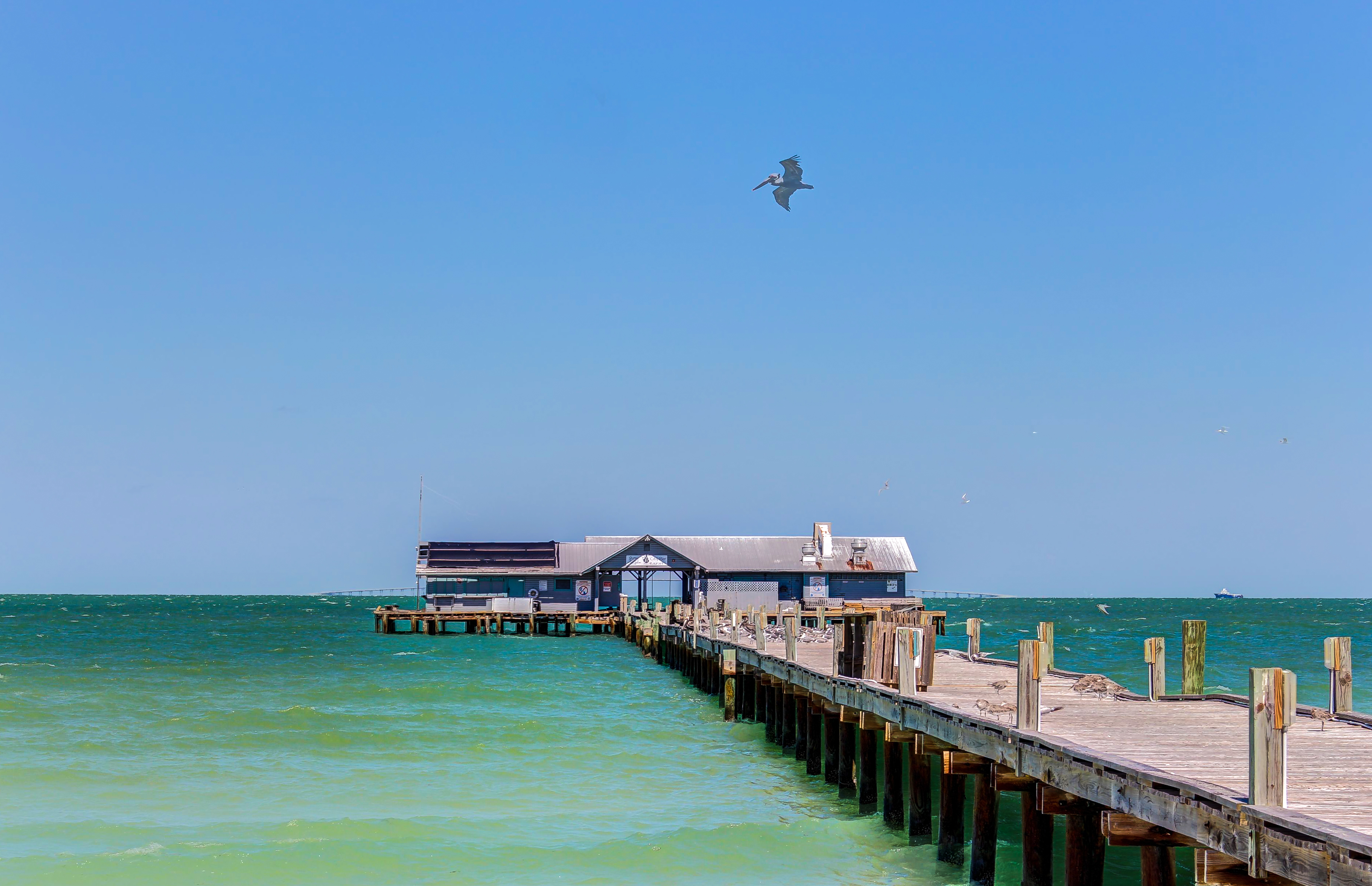 Turtle Cove East House / Cottage rental in Anna Maria Island Houses in Anna Maria Island Florida - #33