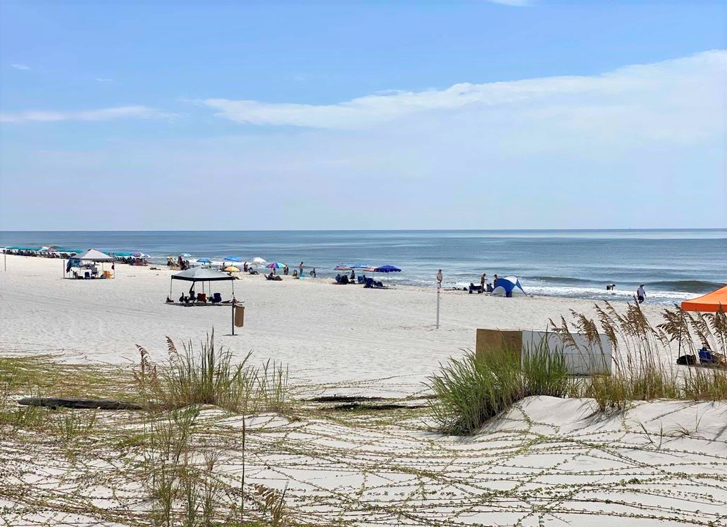 BC-Doral 802 Condo rental in Beach Club Resort in Gulf Shores Alabama - #32