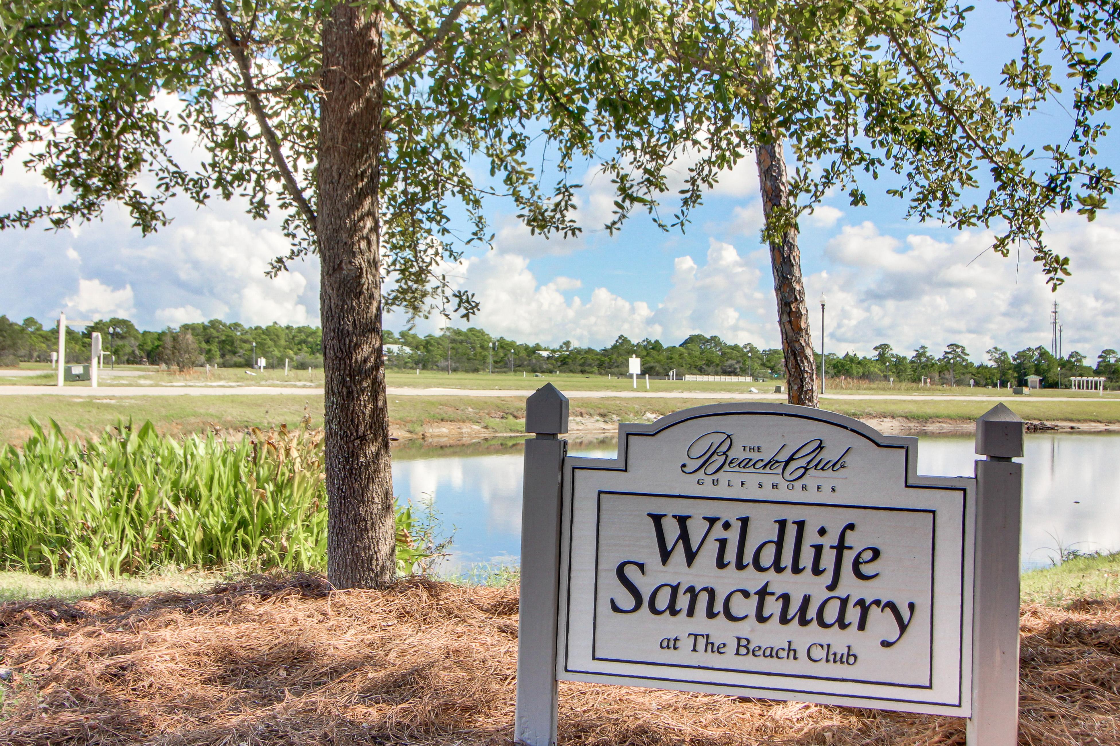 The Beach Club 1104B Condo rental in Beach Club Resort in Gulf Shores Alabama - #31