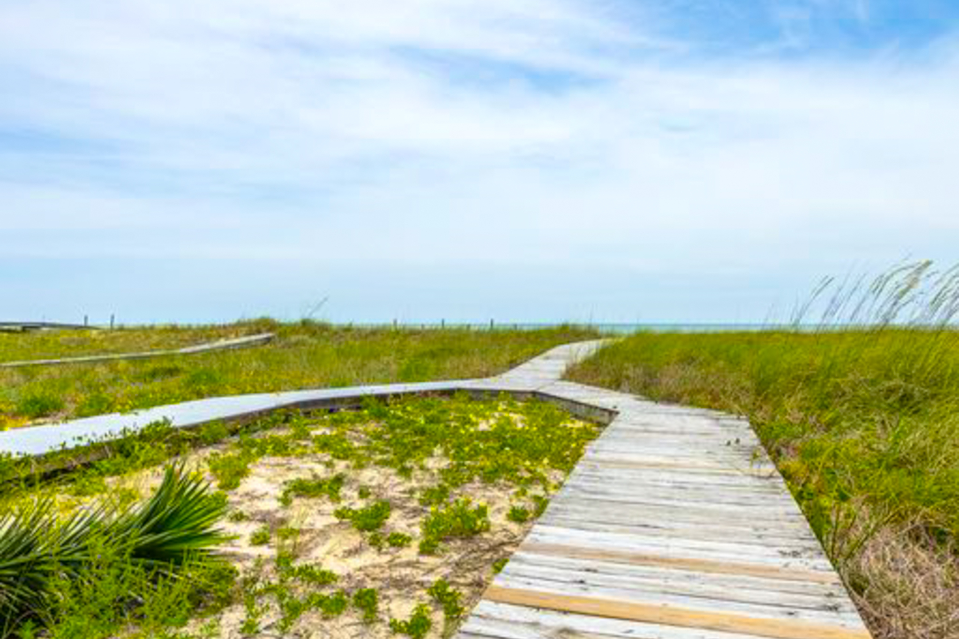 Aquarius House / Cottage rental in Beach Homes St. George Island in St. George Island Florida - #36