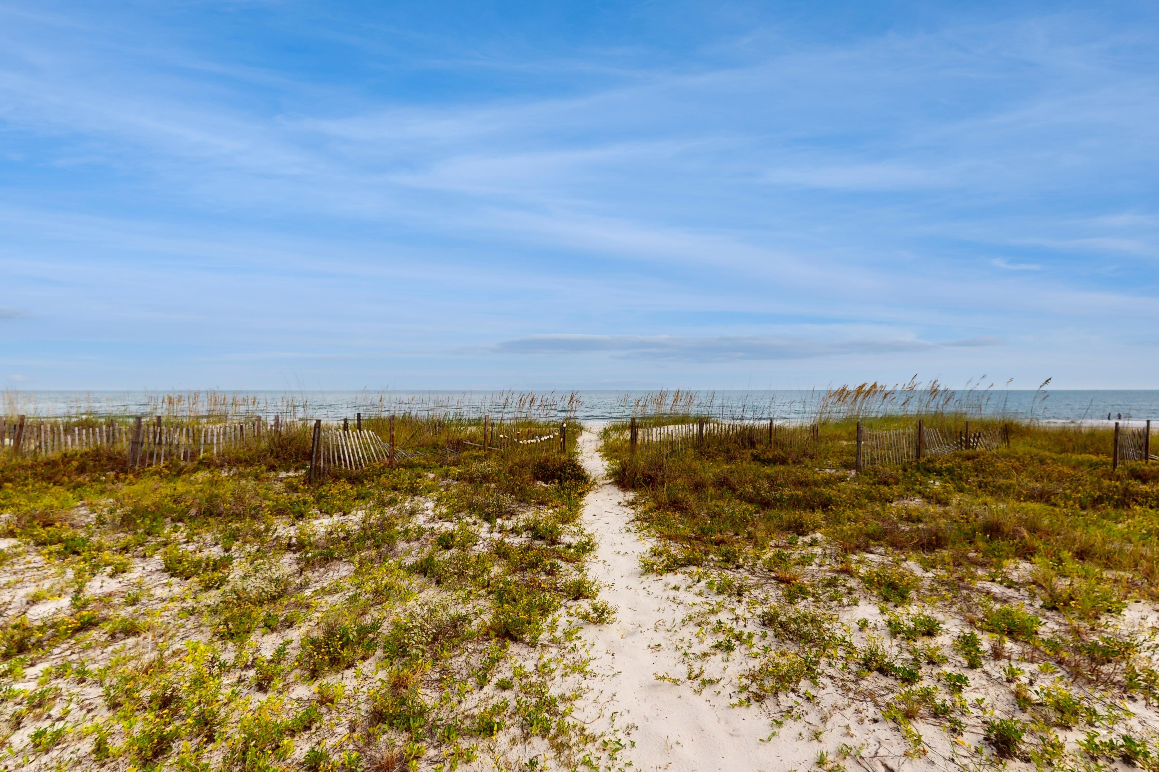 Turtle Tracks House / Cottage rental in Beach Homes St. George Island in St. George Island Florida - #3