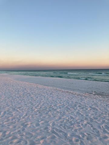 Fins to the Right House / Cottage rental in Destin Beach House Rentals in Destin Florida - #25