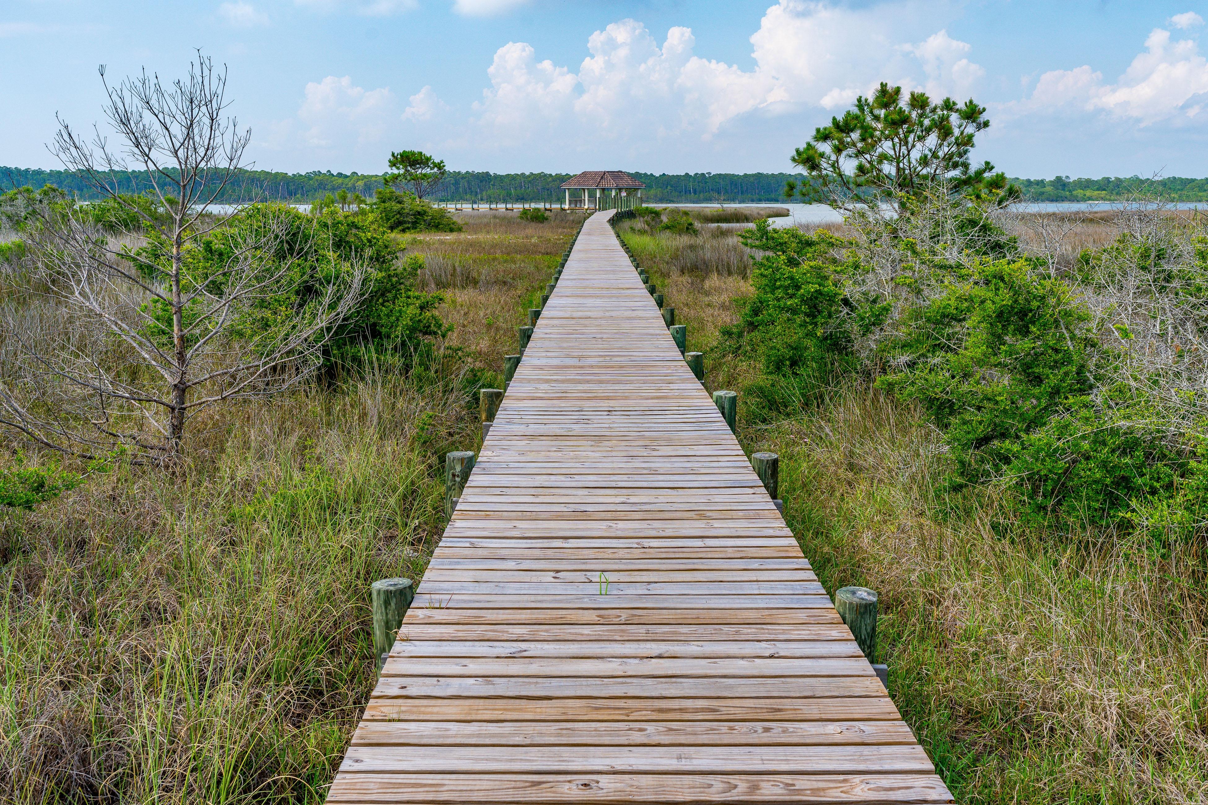 Mermaid's Cove House / Cottage rental in Gulf Shores House Rentals in Gulf Shores Alabama - #41