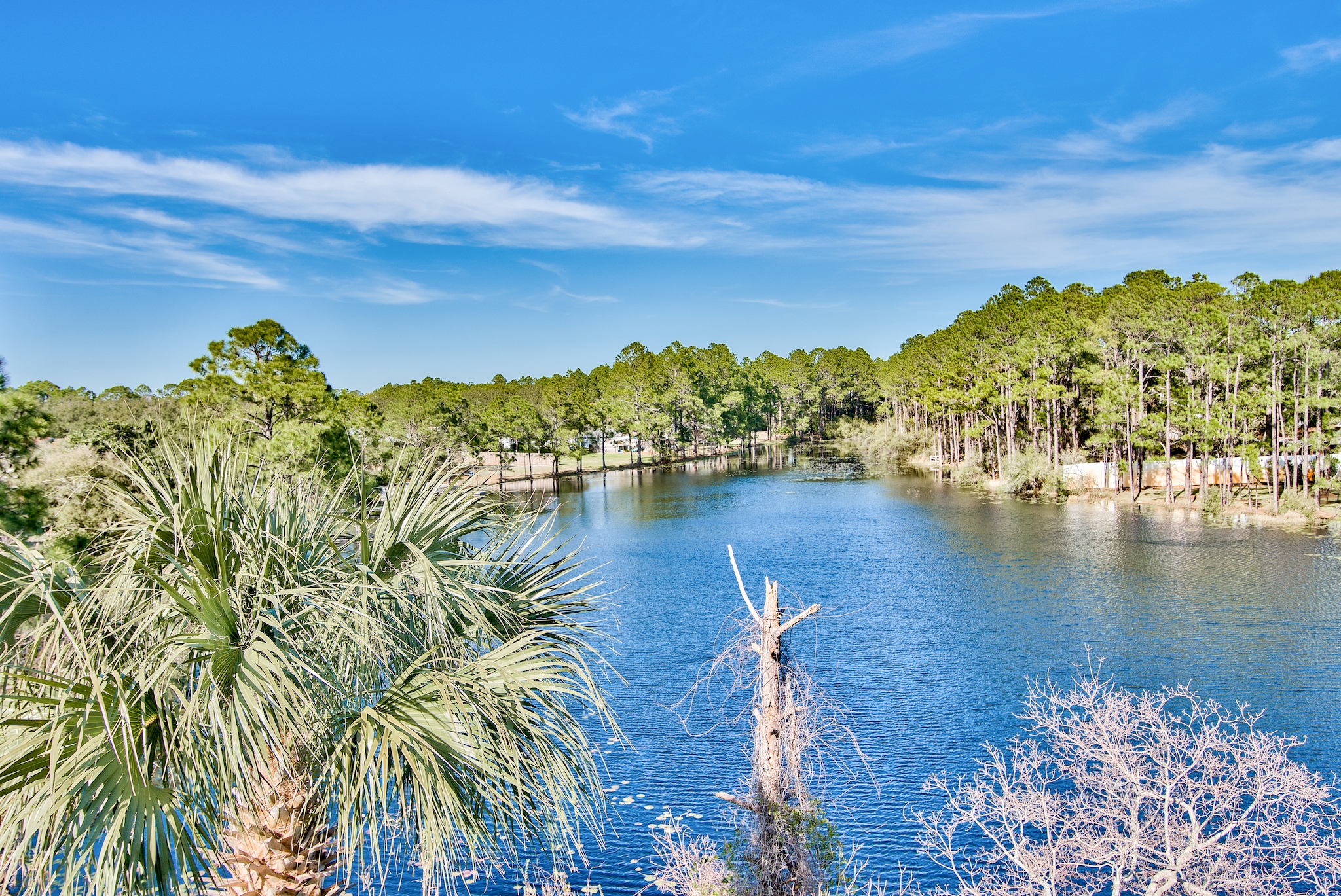 Beach Vibes 2 Condo rental in Beachside Villas Seagrove Beach in Highway 30-A Florida - #21