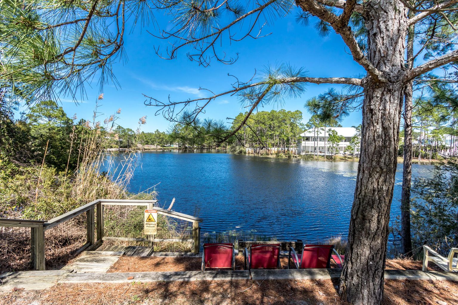 Beachside Villas 1022 Condo rental in Beachside Villas Seagrove Beach in Highway 30-A Florida - #41