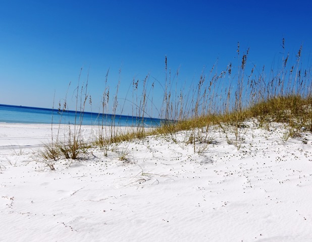 Beachside Villas 1211 Condo rental in Beachside Villas Seagrove Beach in Highway 30-A Florida - #5