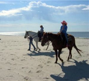 Broke a Toe Stables in Cape San Blas Florida