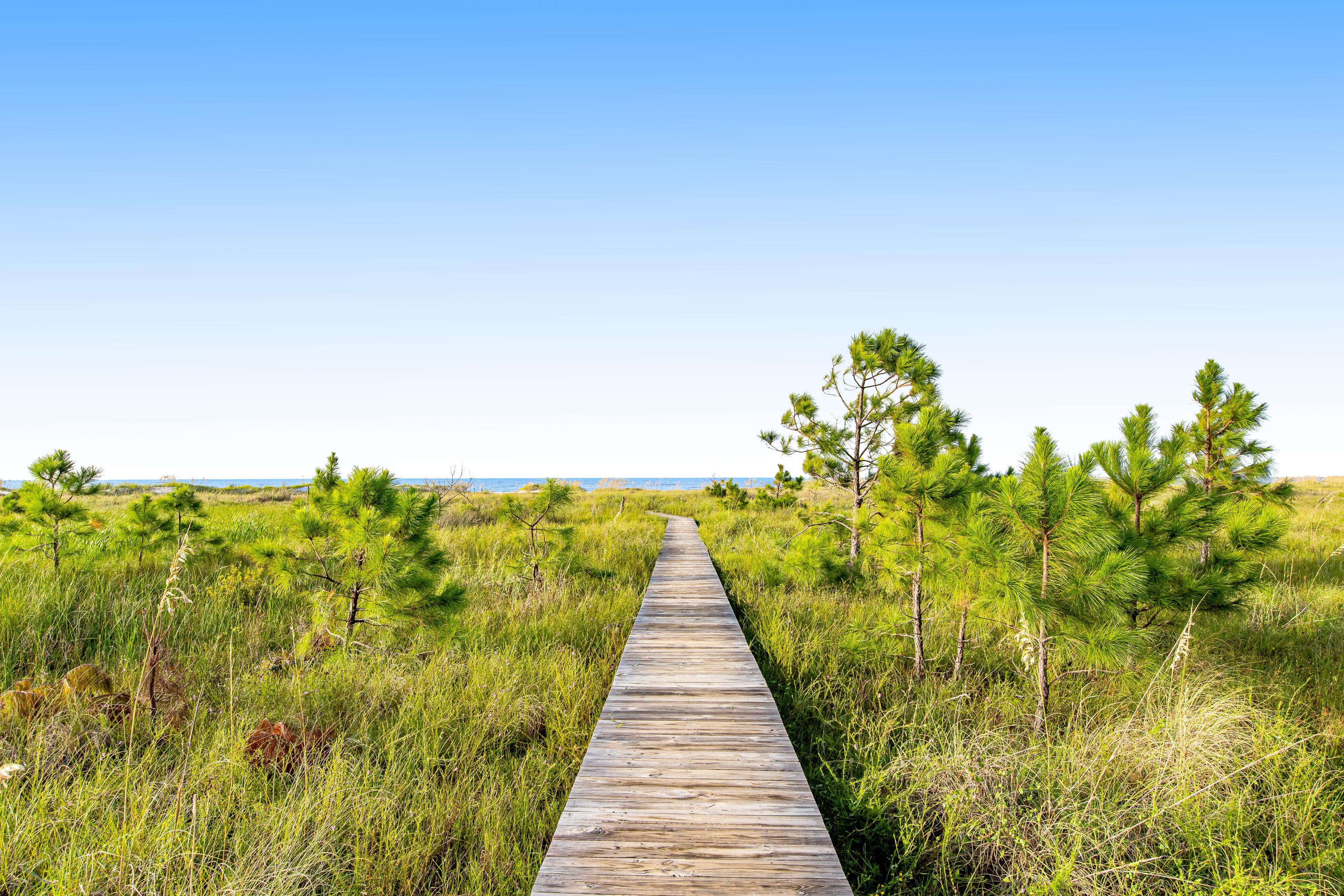 Breezy Beach House / Cottage rental in Cape San Blas Beach House Rentals in Cape San Blas Florida - #41