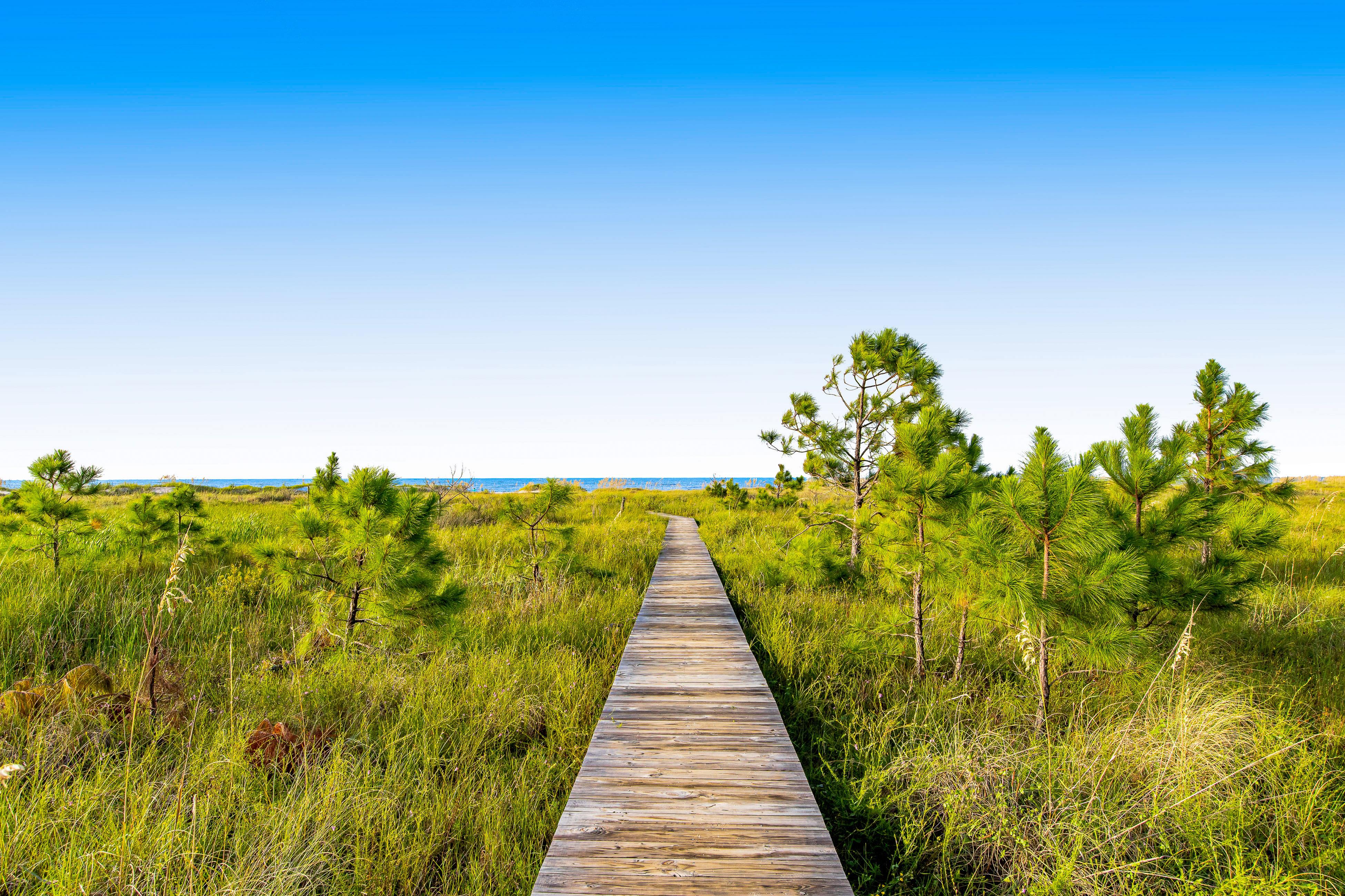 Shore Bird House / Cottage rental in Cape San Blas Beach House Rentals in Cape San Blas Florida - #39