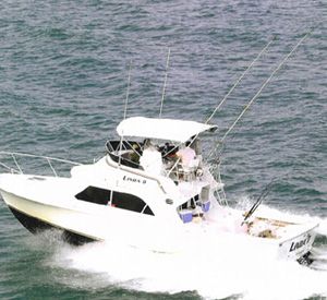 Captain Bill's Charter Boats in Key West Florida