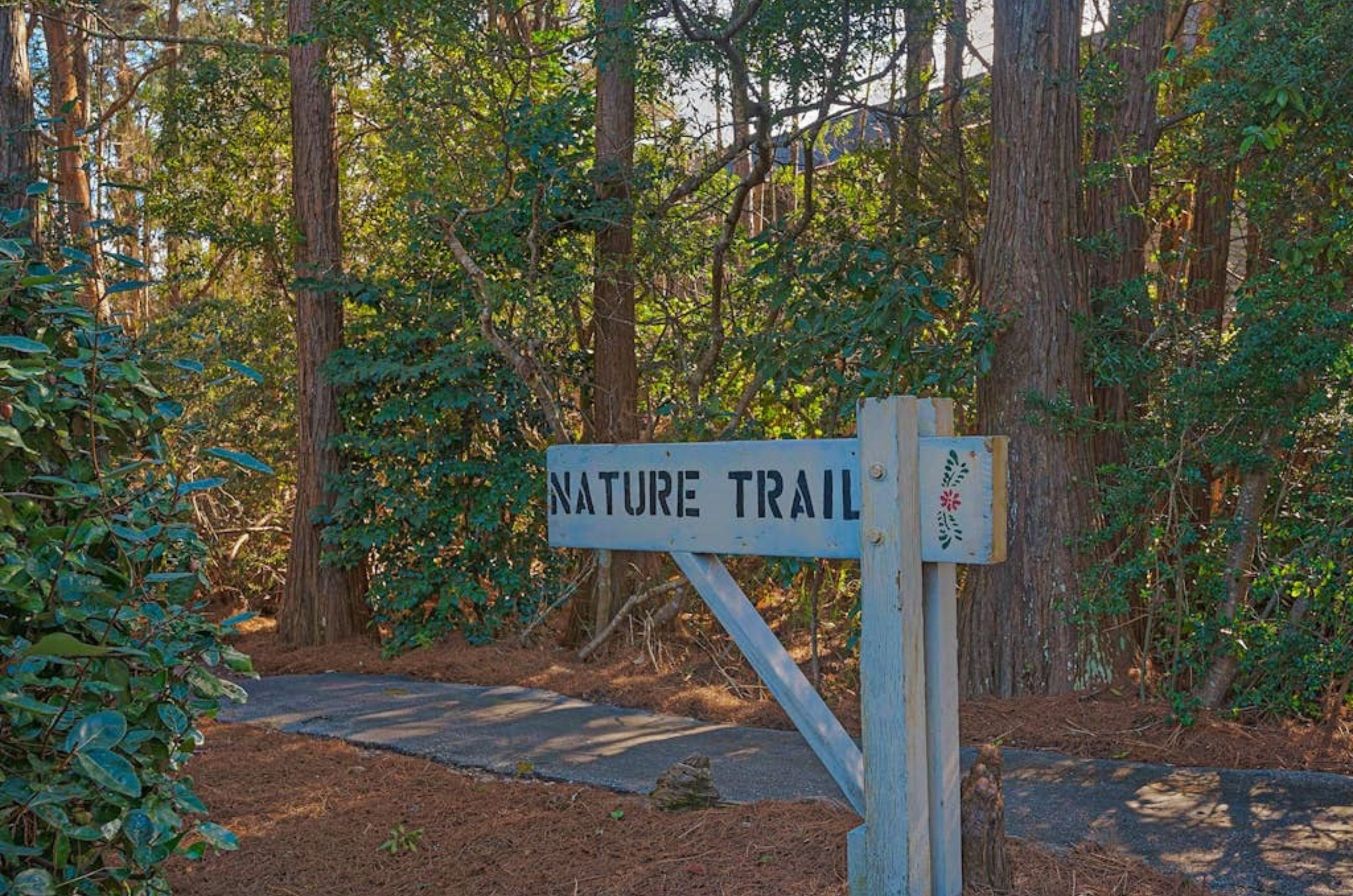 A wooden post sign for a nature trail surrounded by trees and a gravel pathway 