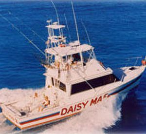 Daisy Mae Fishing Company in Clearwater Beach Florida