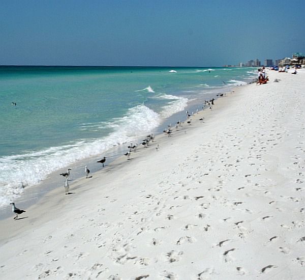 Destiny by the Sea   in Destin Florida