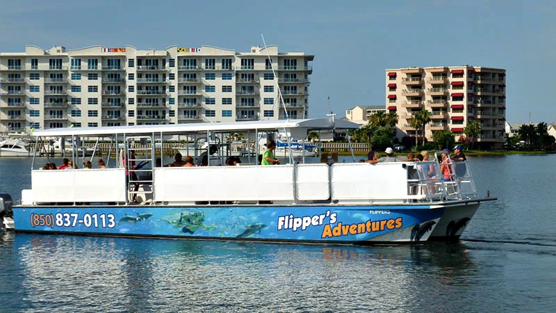 Dolphin Cruises in Destin Florida