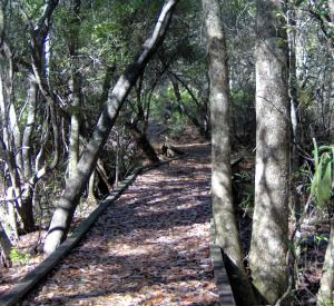 Eastern Lake Bike & Hike Trail in Highway 30-A Florida