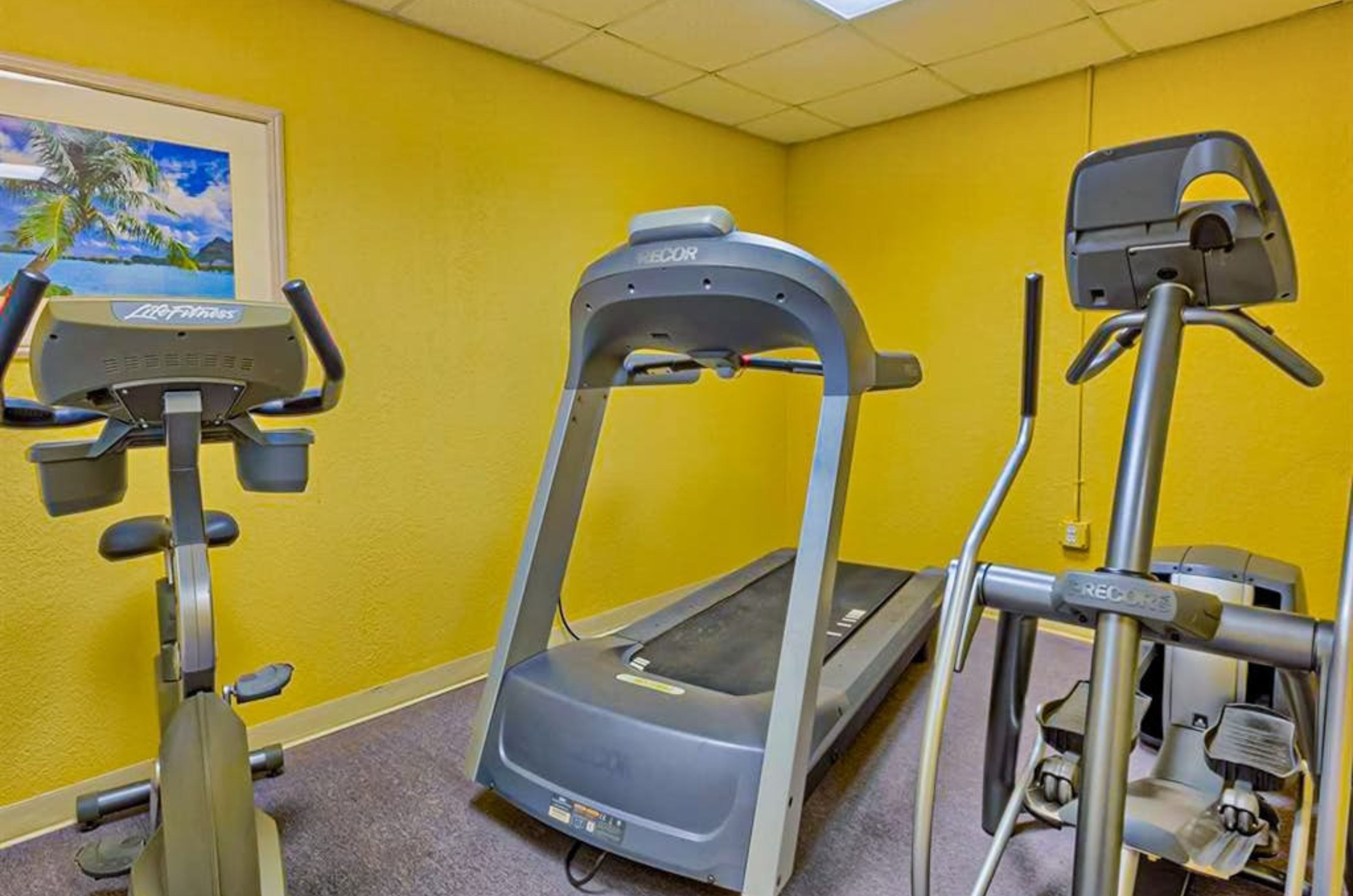 The gym at Emerald Skye with a bike treadmil and elliptical