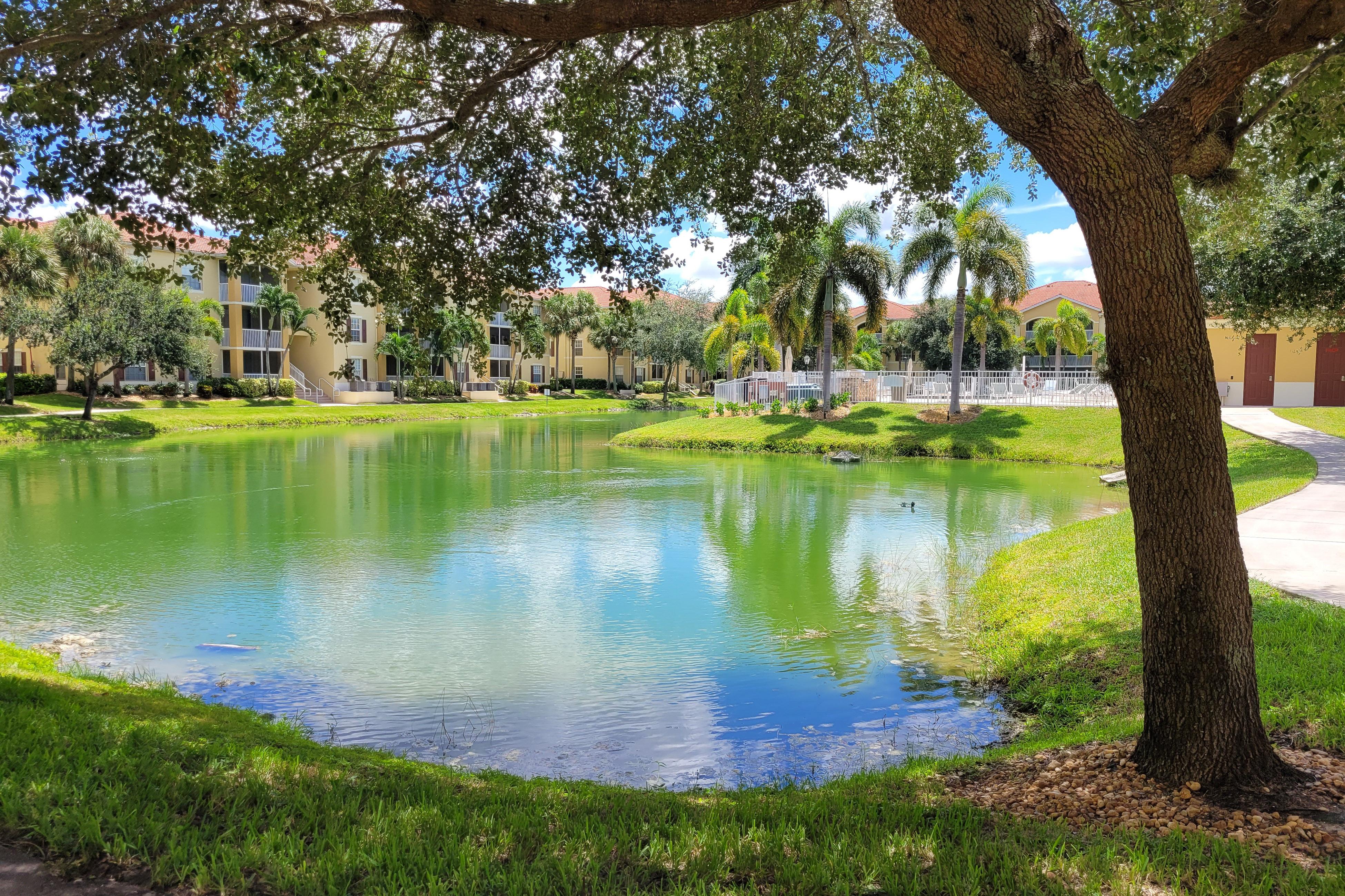 Beach Sunflower Unit #516 Condo rental in Fort Myers Beach Condo Rentals in Fort Myers Beach Florida - #39