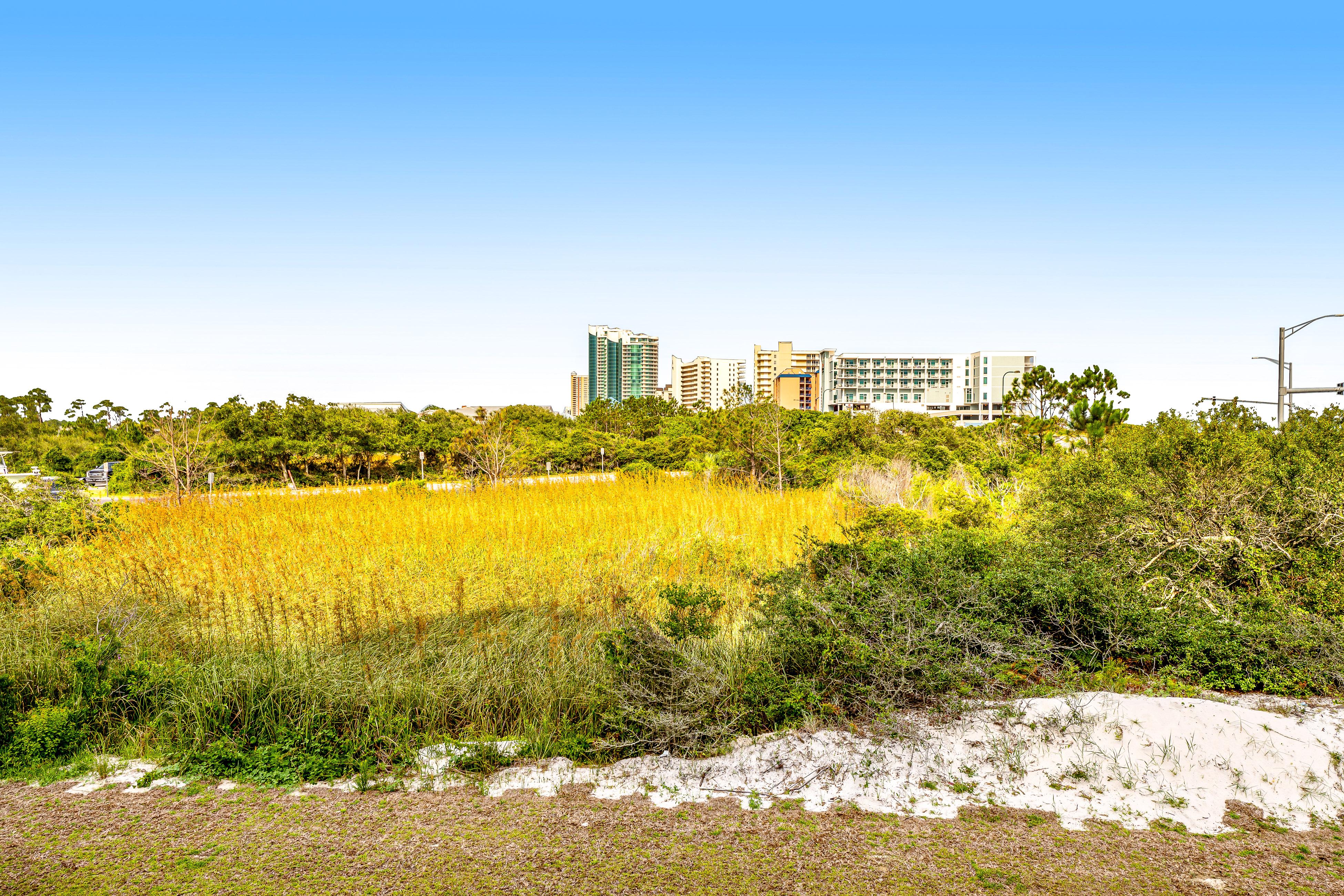 Grand Caribbean 120 Condo rental in Grand Caribbean Orange Beach in Orange Beach Alabama - #3