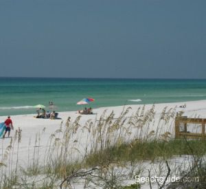 Grayton Beach State Park in Highway 30-A Florida