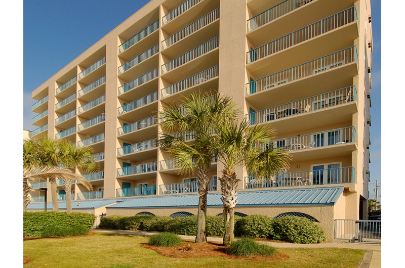 Nicely landscaped grounds with palm trees at Surfside Shores Gulf Shores