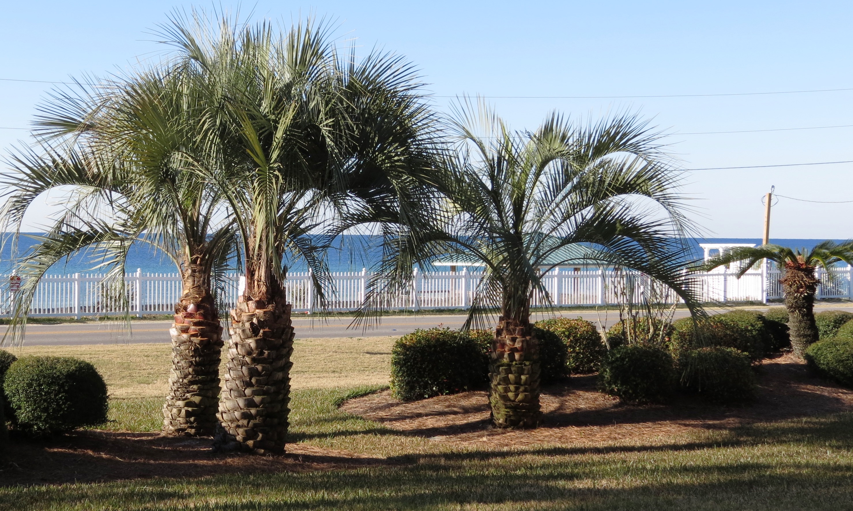 Gulf Winds East #3 Condo rental in Gulf Winds East in Destin Florida - #10