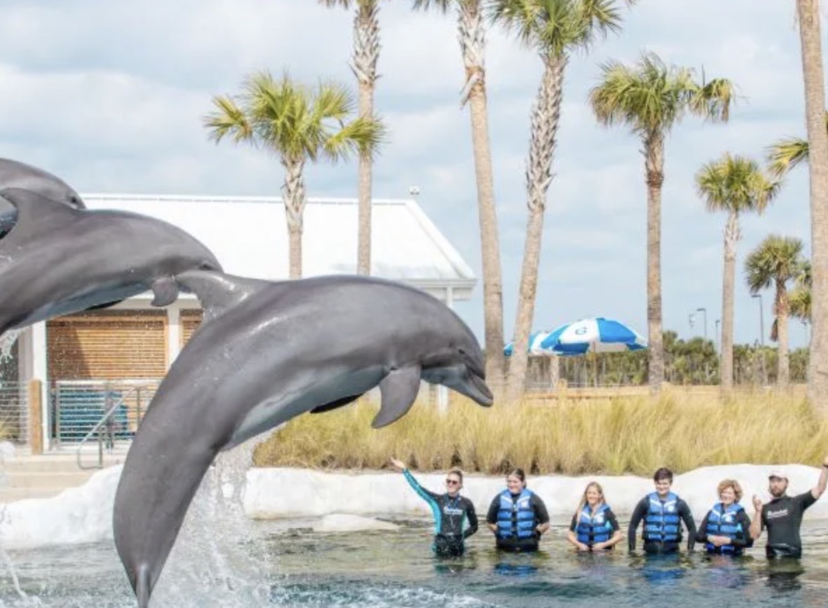 Gulfarium Marine Adventure Park in Fort Walton Beach Florida