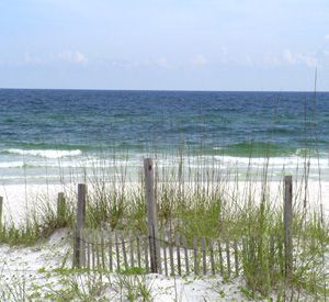 Henderson Beach State Park in Destin Florida