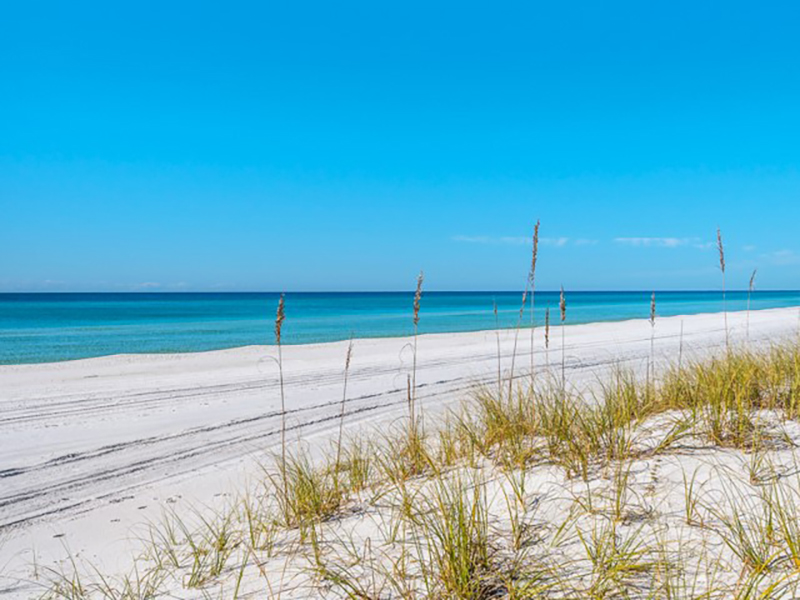Sugar White sands are right out side your unit at San Remo Santa Rosa Beach Florida