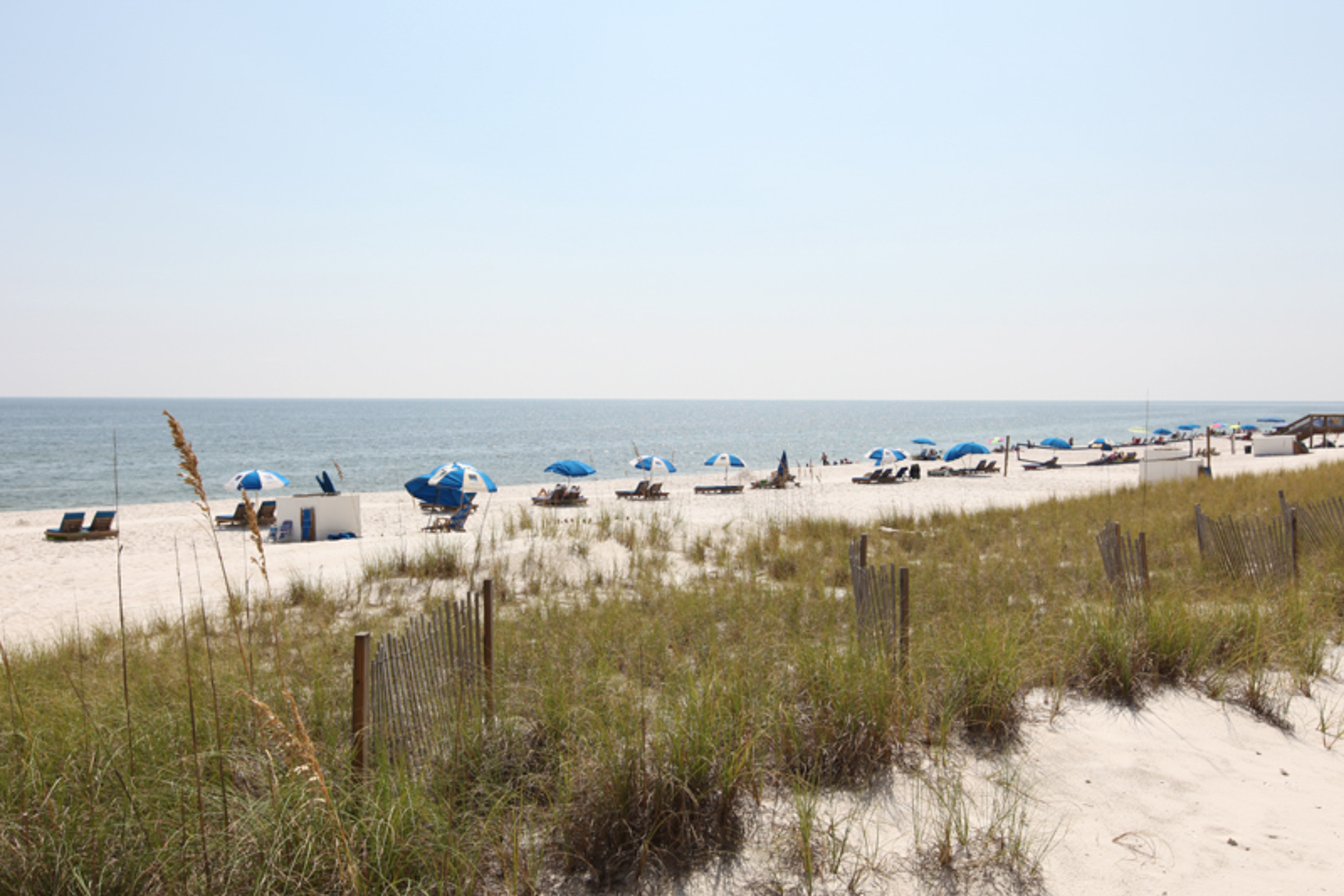 Indigo W1202 Condo rental in Indigo East and West in Perdido Key Florida - #28