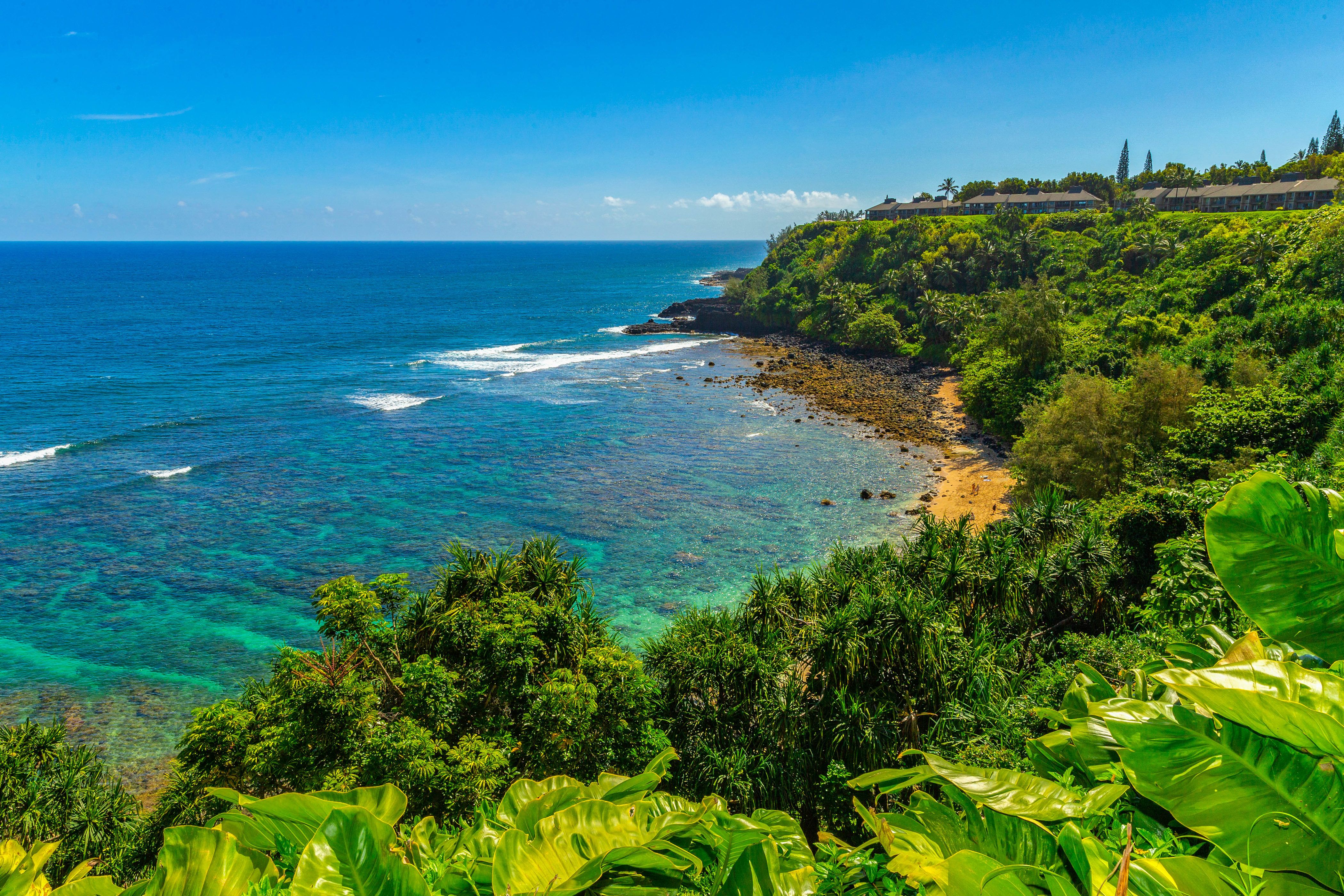 Puu Poa #309 Condo rental in Kauai Condo Rentals in Kauai Hawaii - #34