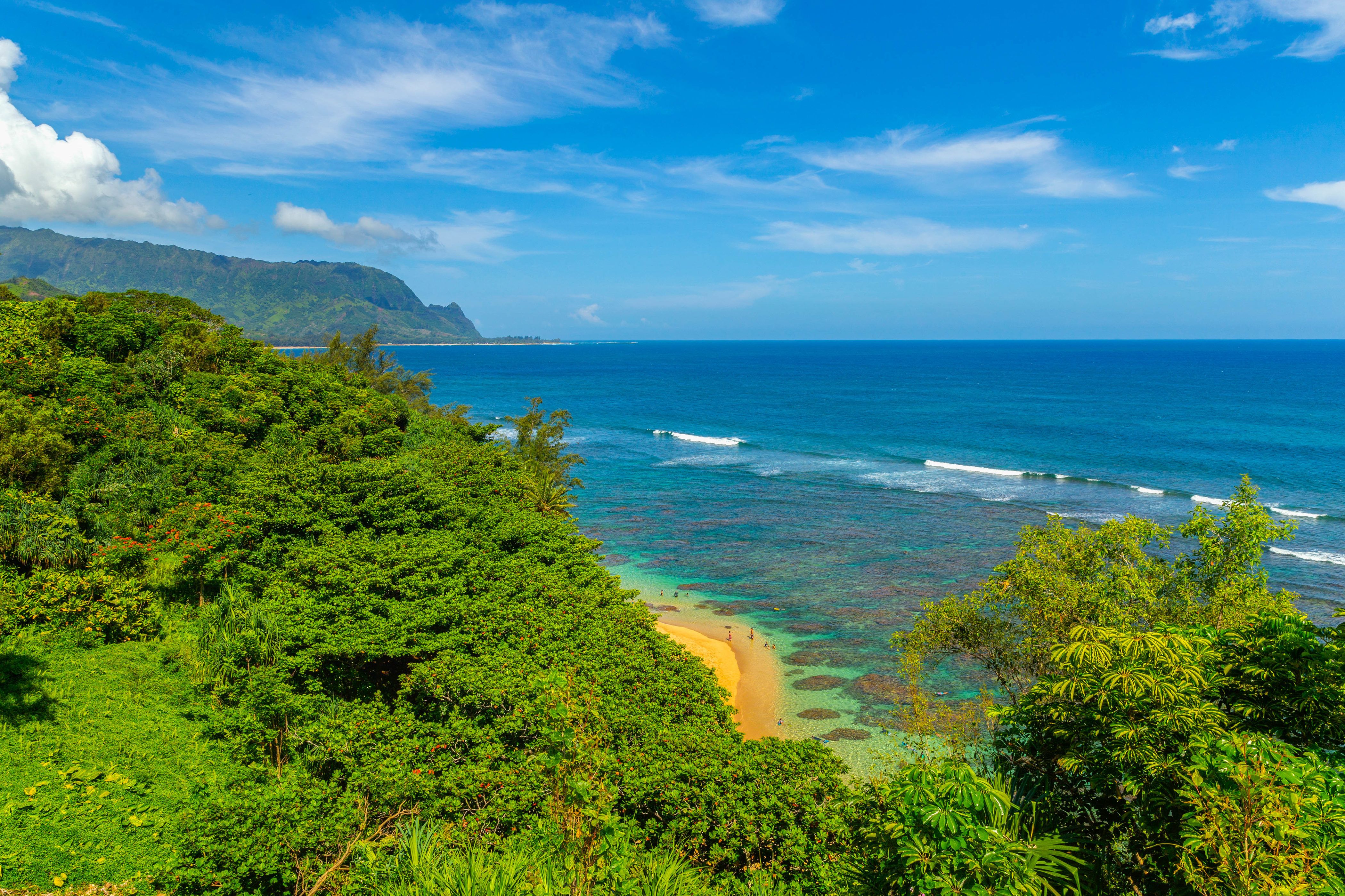 Puu Poa #309 Condo rental in Kauai Condo Rentals in Kauai Hawaii - #35