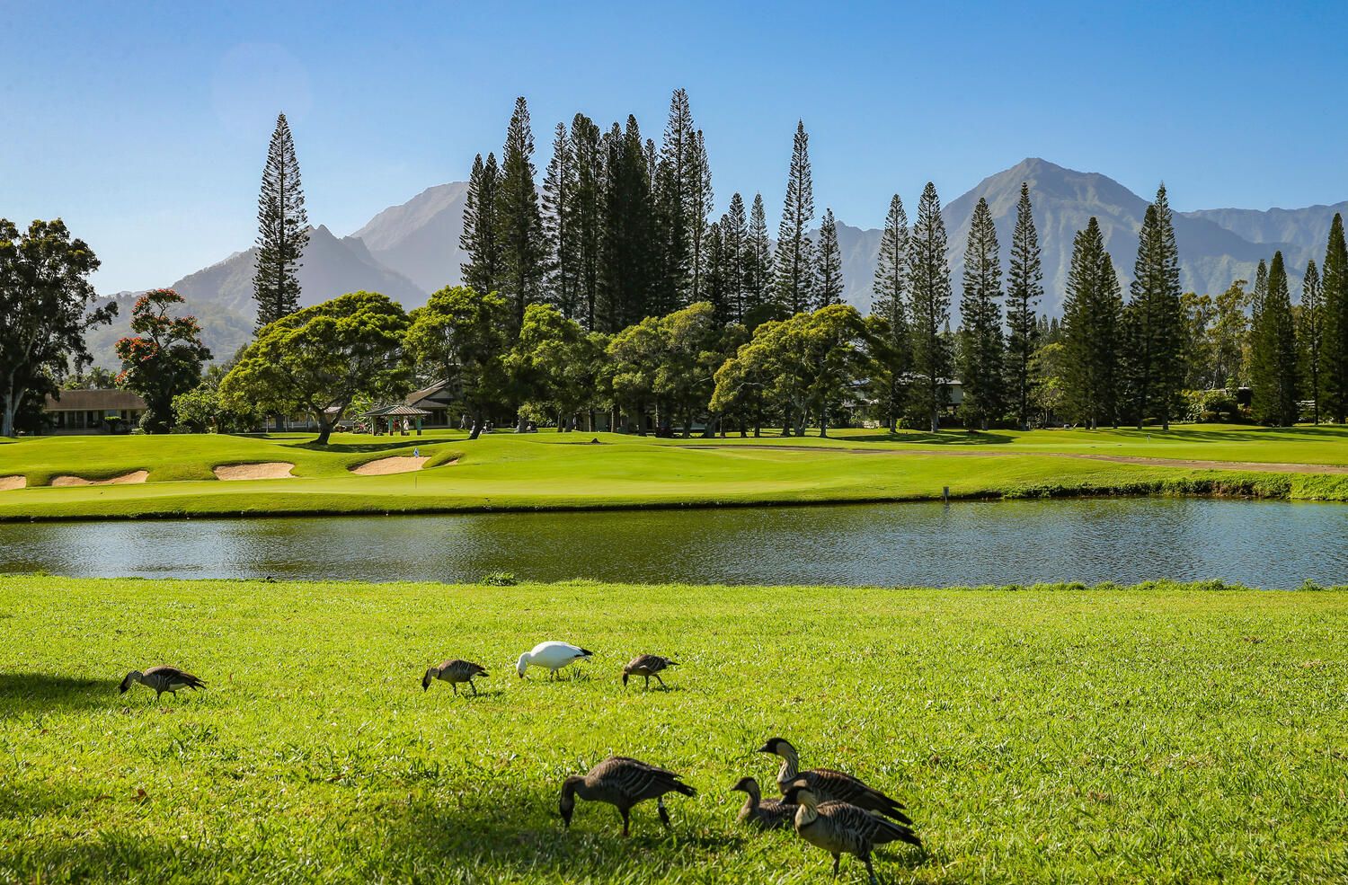 Puu Poa #309 Condo rental in Kauai Condo Rentals in Kauai Hawaii - #37