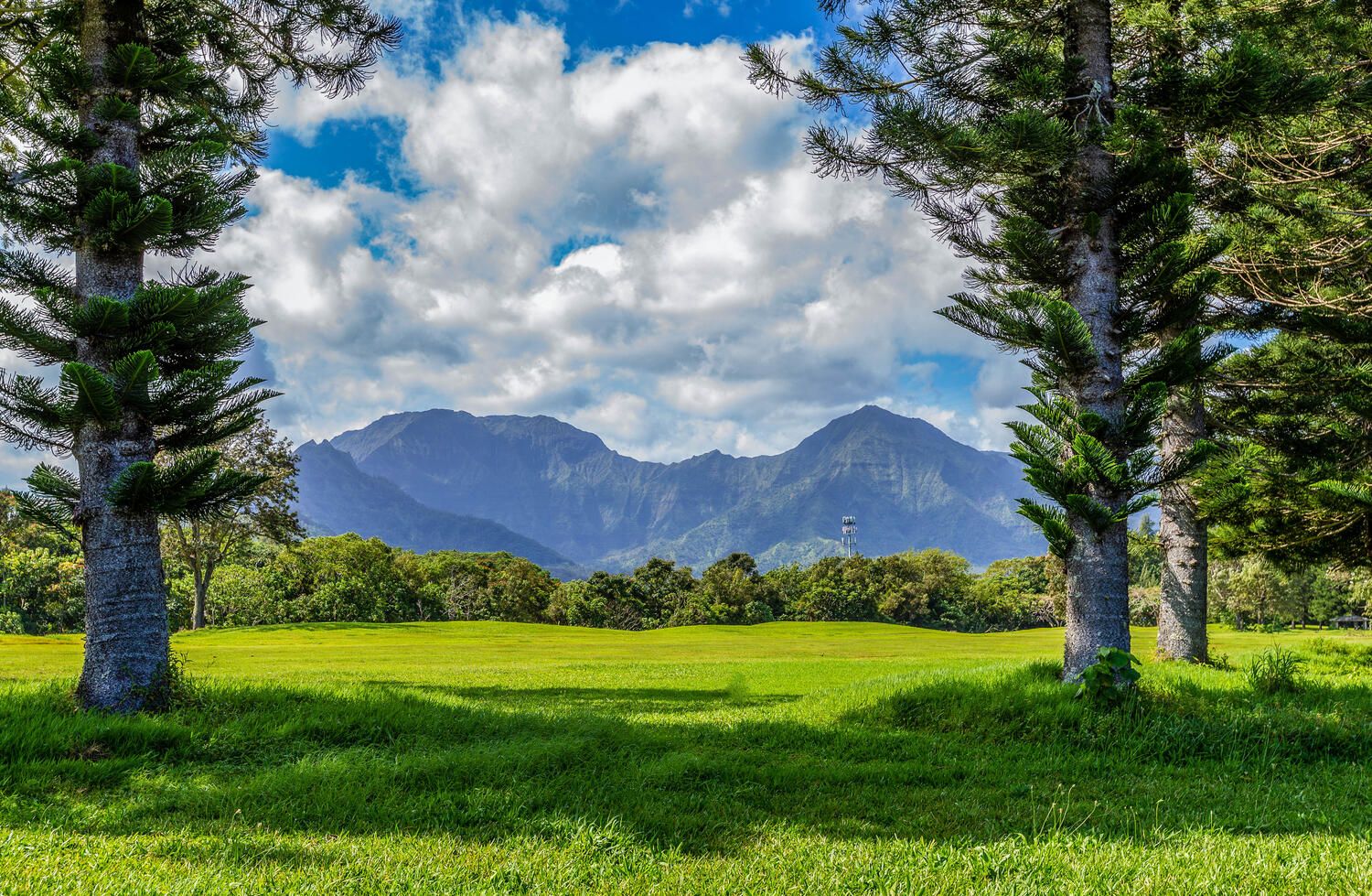 Emmalani Oasis House / Cottage rental in Kauai Vacation Home Rentals in Kauai Hawaii - #33