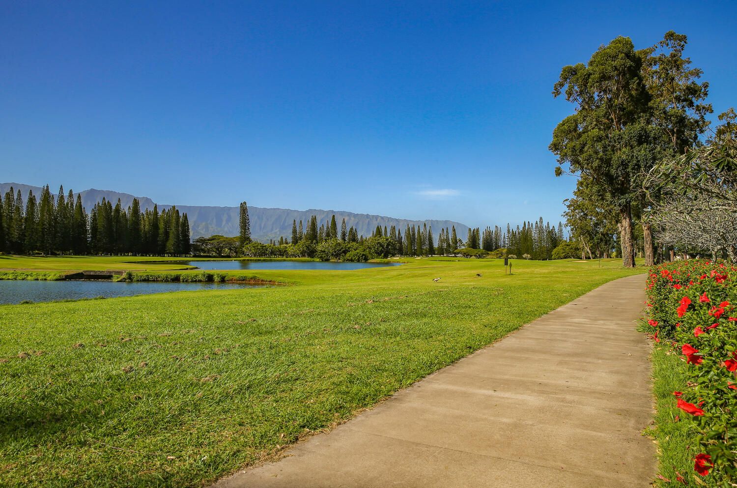 Emmalani Oasis House / Cottage rental in Kauai Vacation Home Rentals in Kauai Hawaii - #46