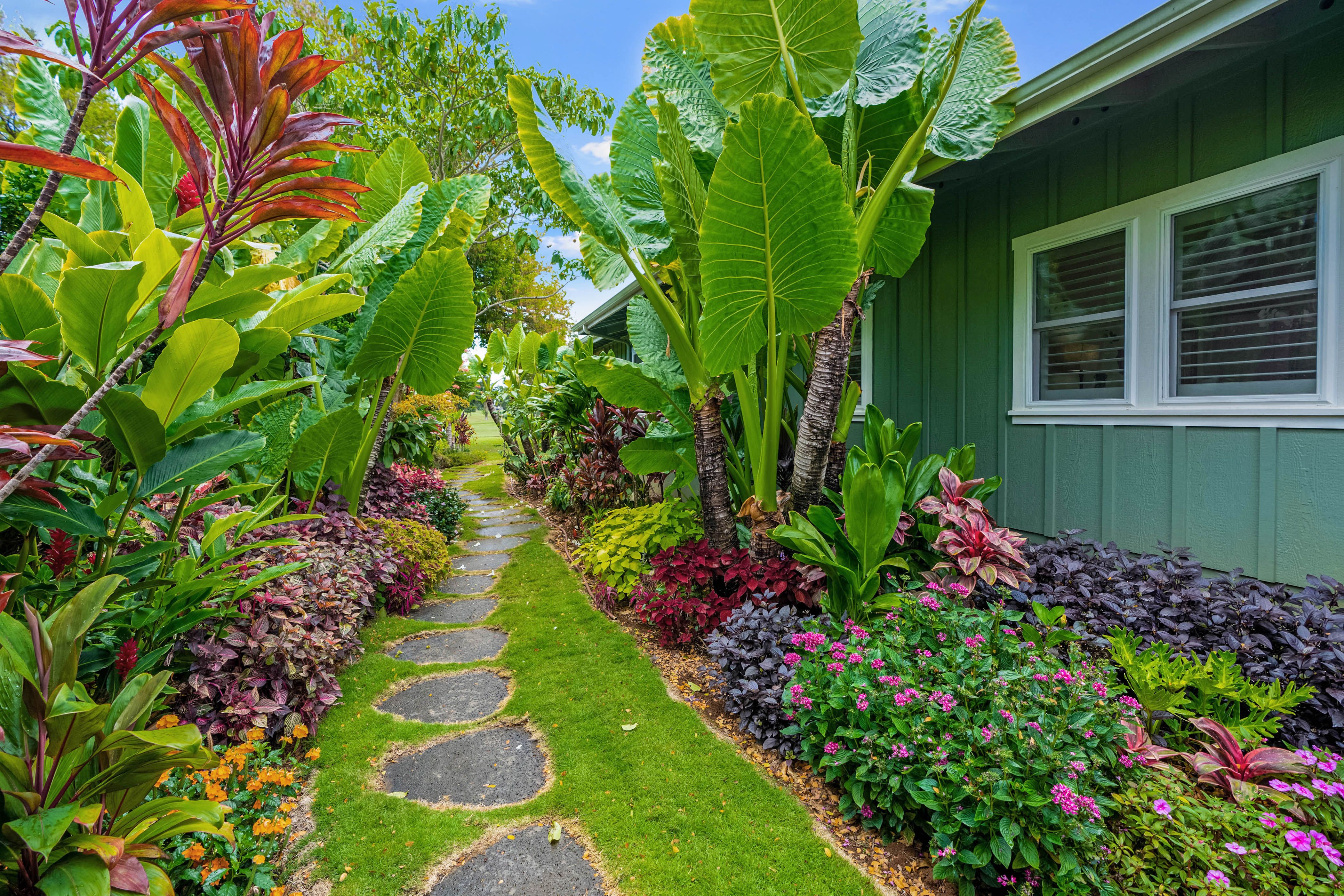 Hale Alaula House / Cottage rental in Kauai Vacation Home Rentals in Kauai Hawaii - #41