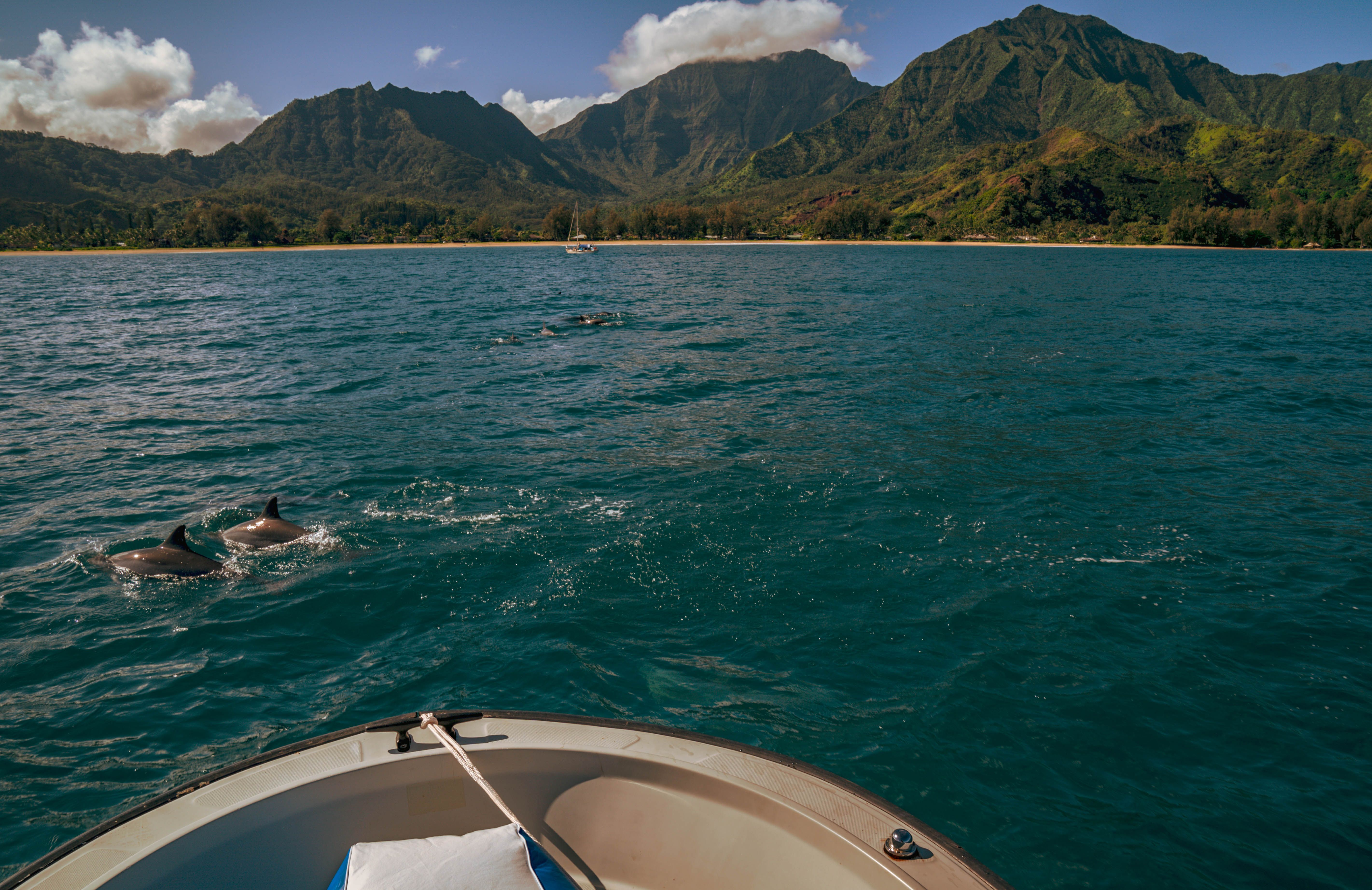 Hanalei Happy Place Main House House / Cottage rental in Kauai Vacation Home Rentals in Kauai Hawaii - #23