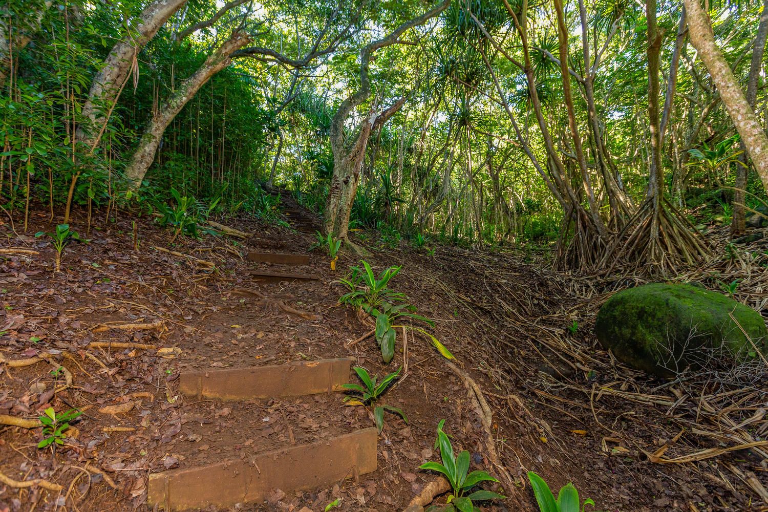 Keoniana Kai House / Cottage rental in Kauai Vacation Home Rentals in Kauai Hawaii - #38