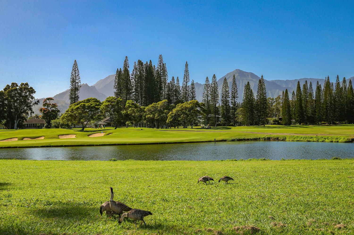 Lunalani House / Cottage rental in Kauai Vacation Home Rentals in Kauai Hawaii - #42