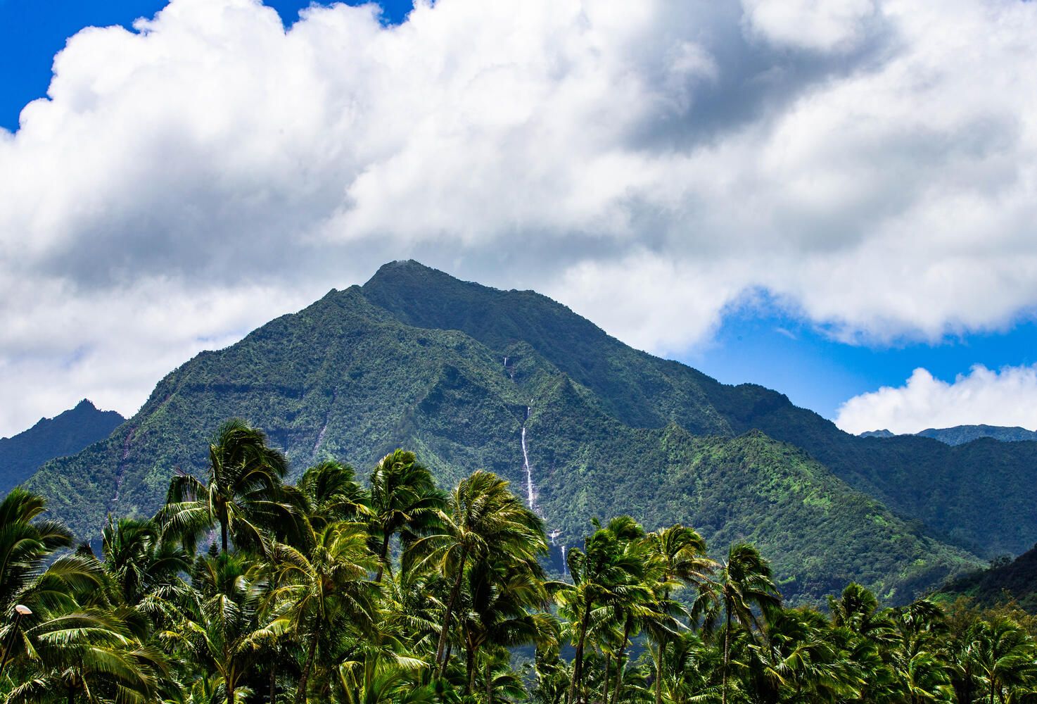 Nalu Hanalei House / Cottage rental in Kauai Vacation Home Rentals in Kauai Hawaii - #54